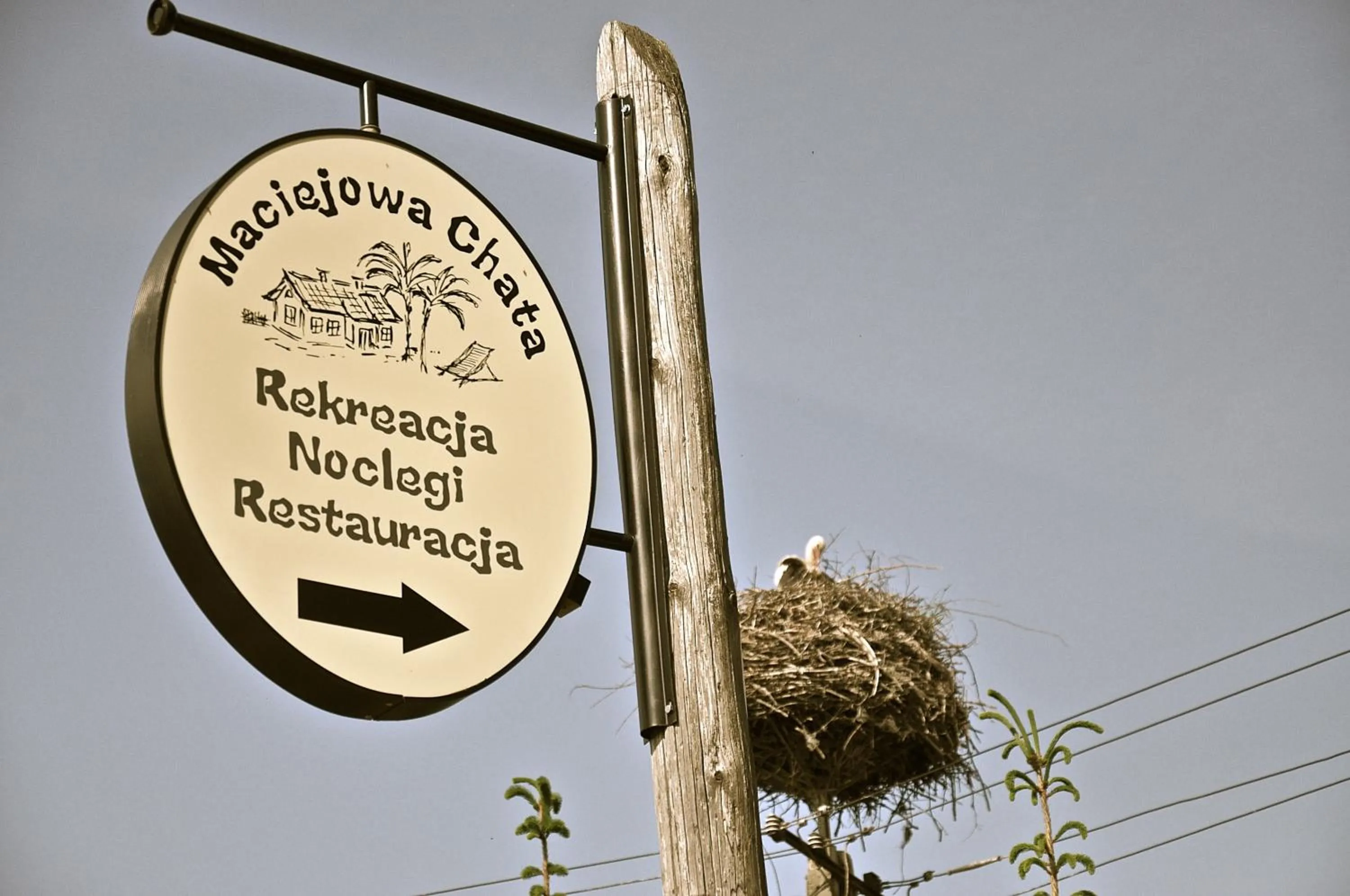 Logo/Certificate/Sign in Maciejowa Chata