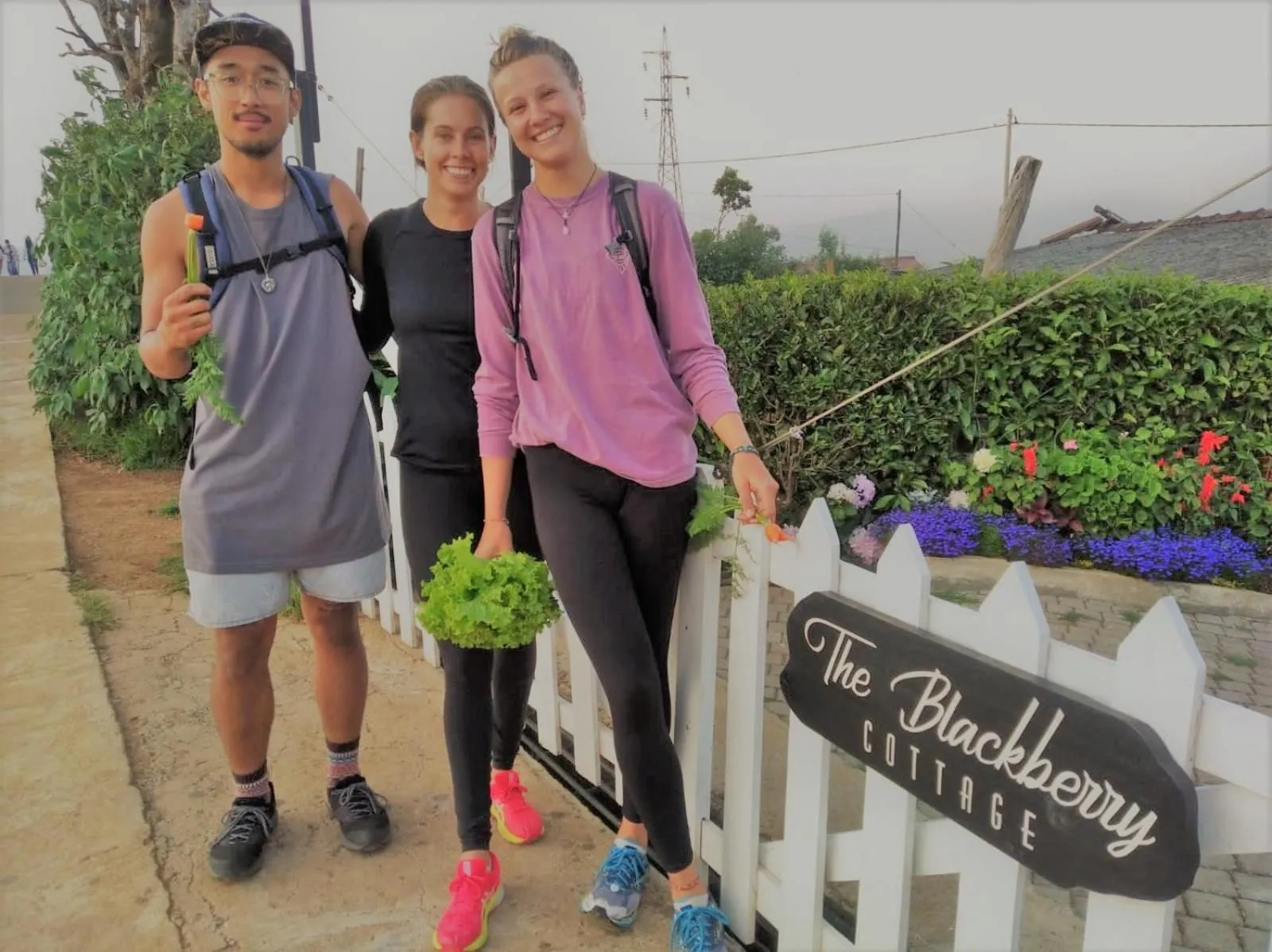 Patio in The Blackberry Cottage