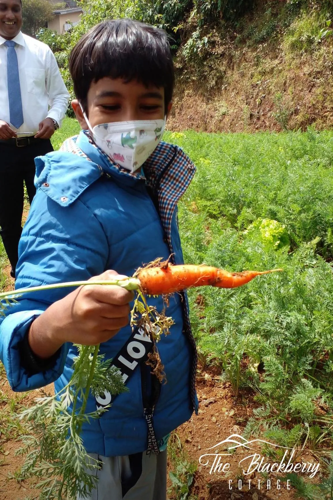 Natural landscape in The Blackberry Cottage