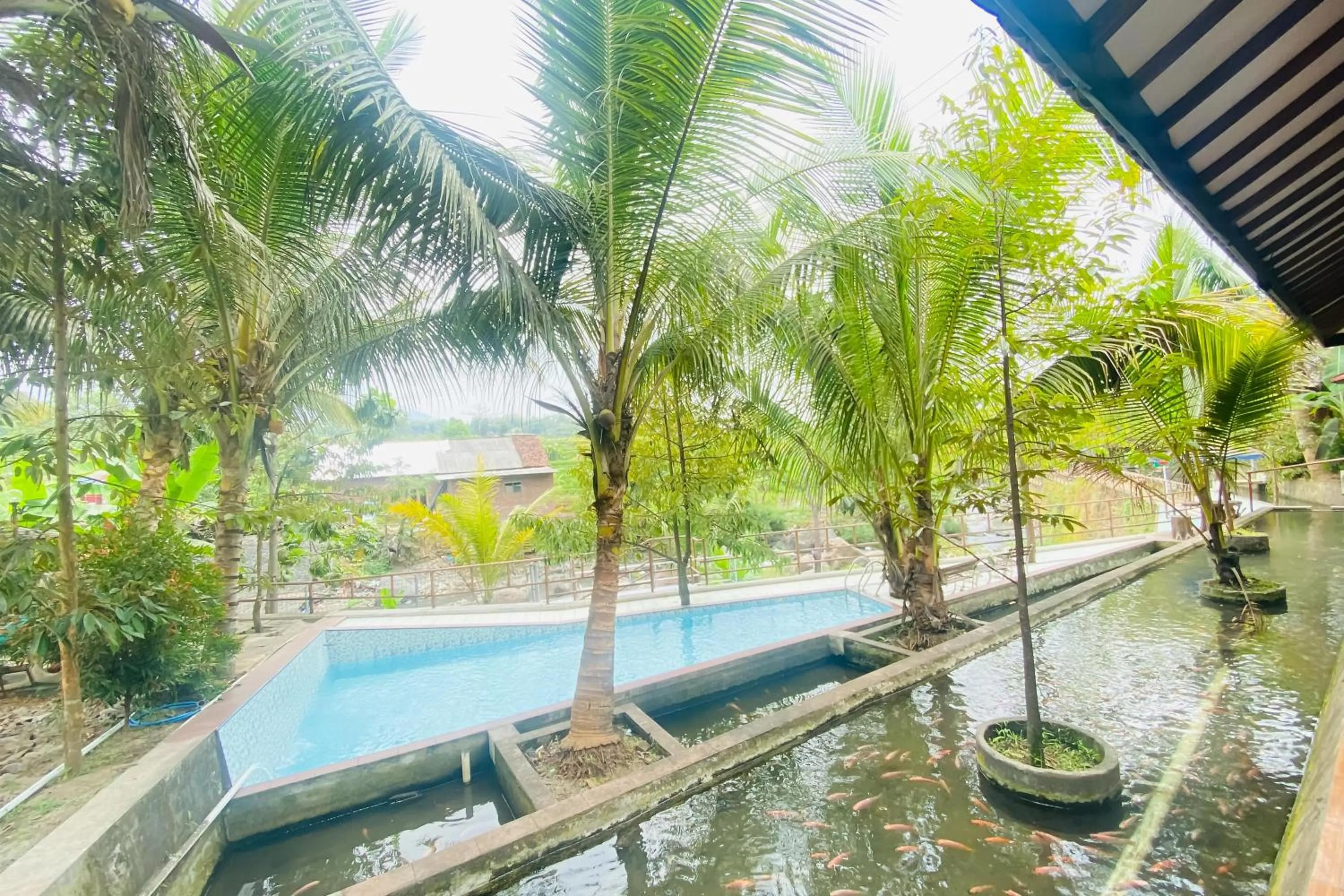 Swimming pool in Hotel dan Gazebo Syariah Pinggir Kali Prigen RedPartner
