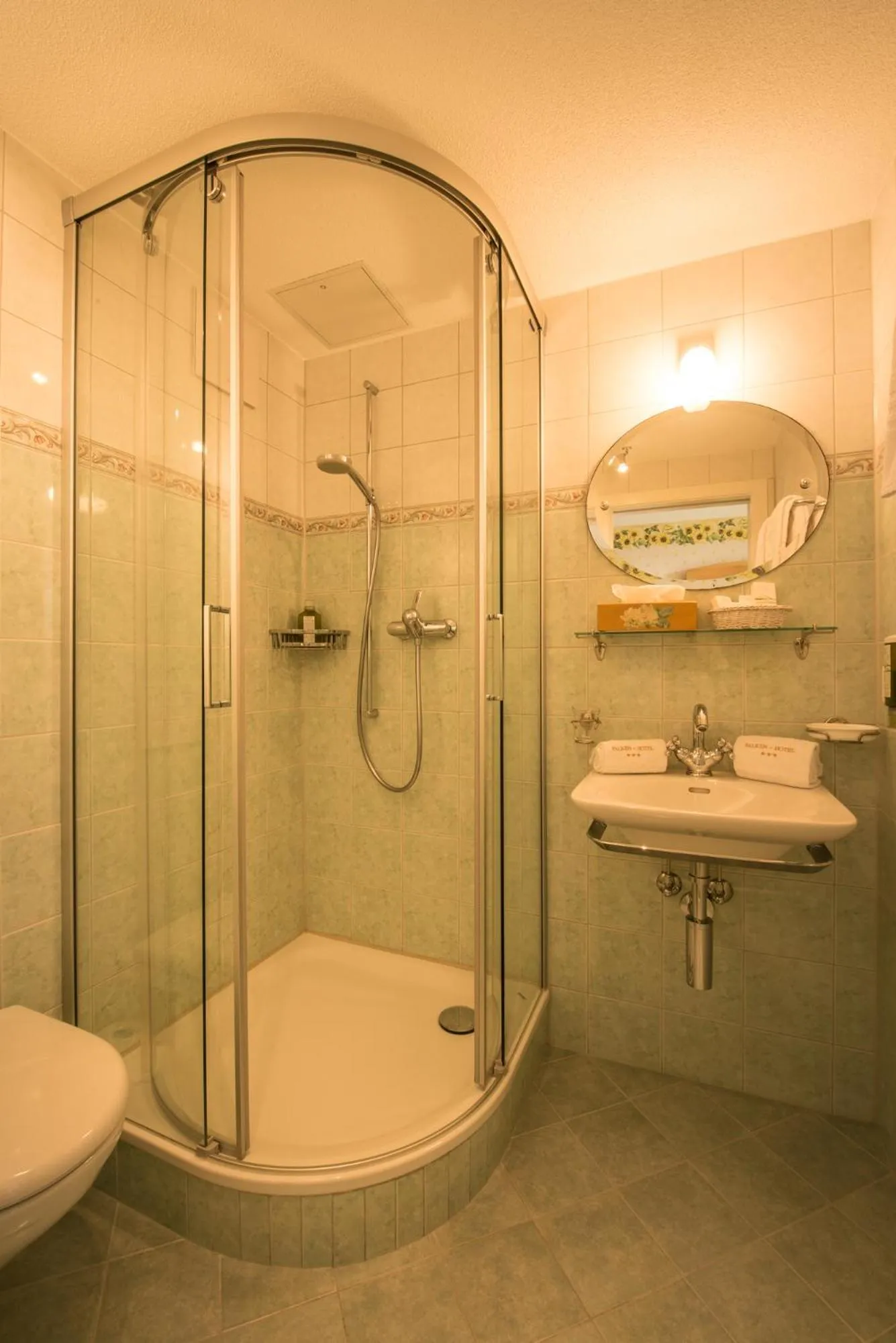 Other in Historic Hotel Falken