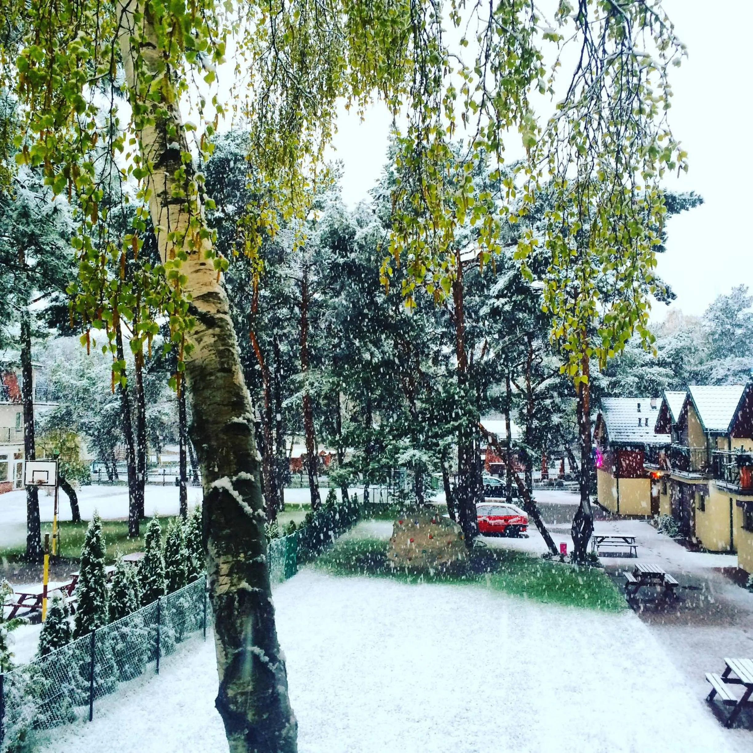 Winter in Pelikan Resort Dźwirzyno - Domki przy plaży