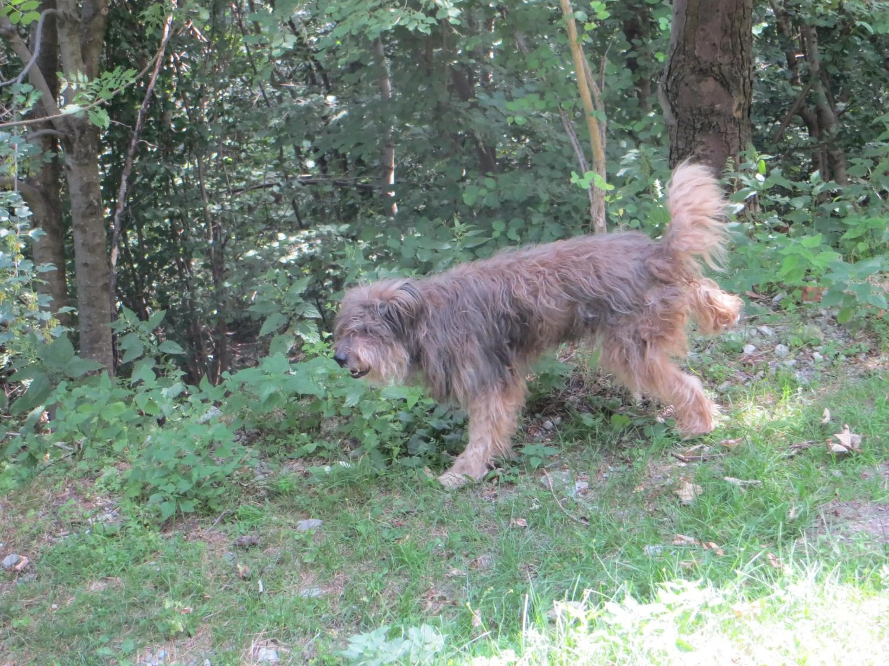 Day in Baita Bondella