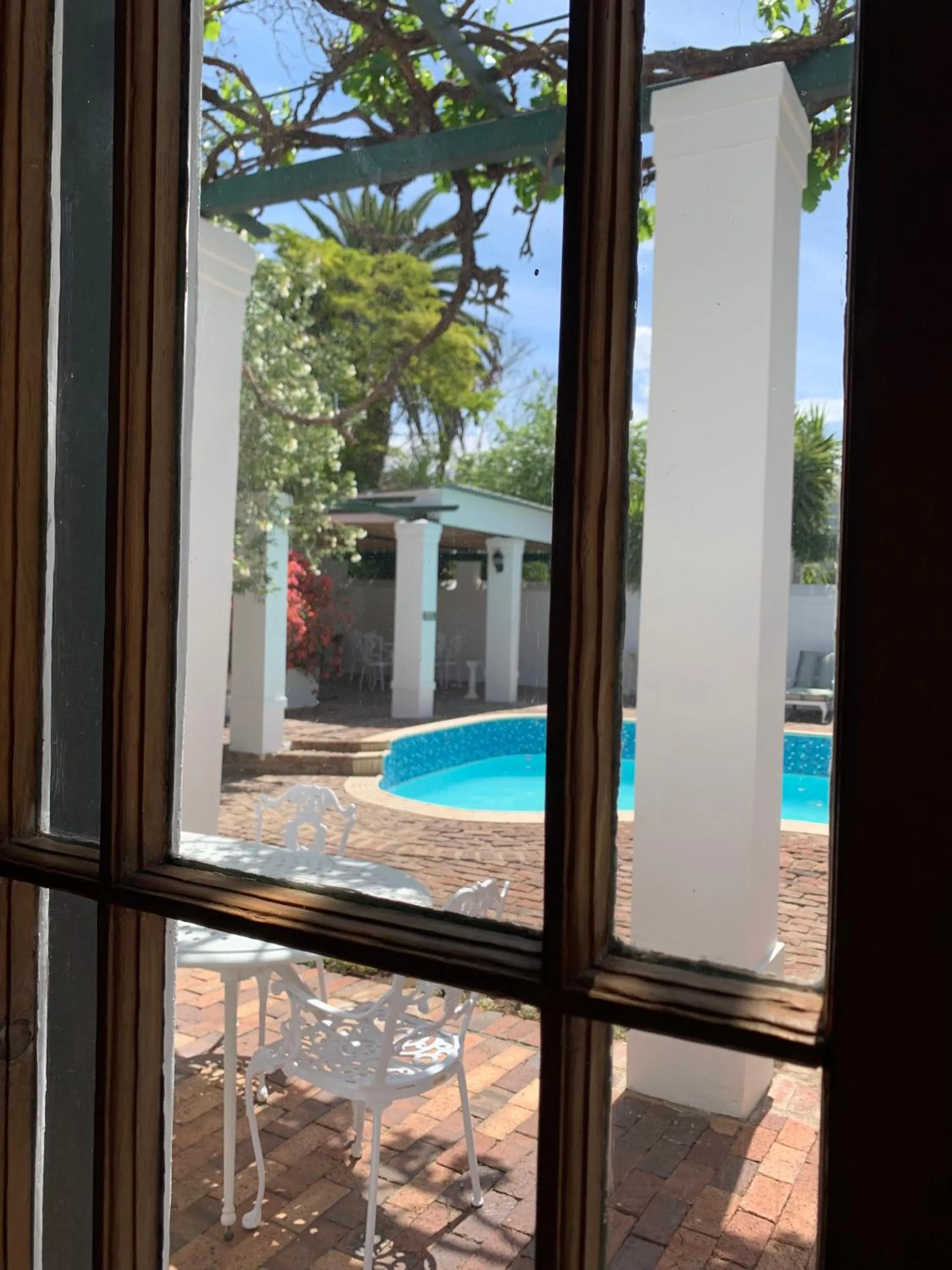 Swimming pool in de Wingerd B & B