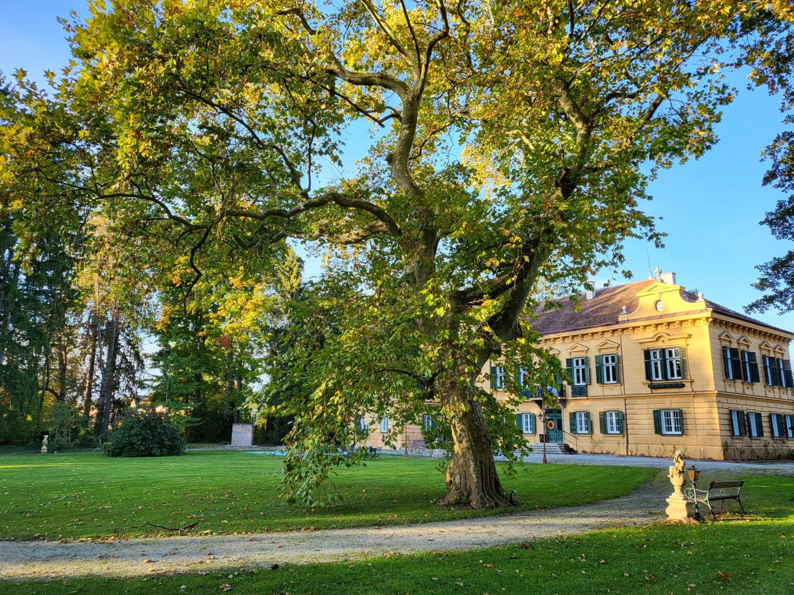 Property building in Palais Kneissl
