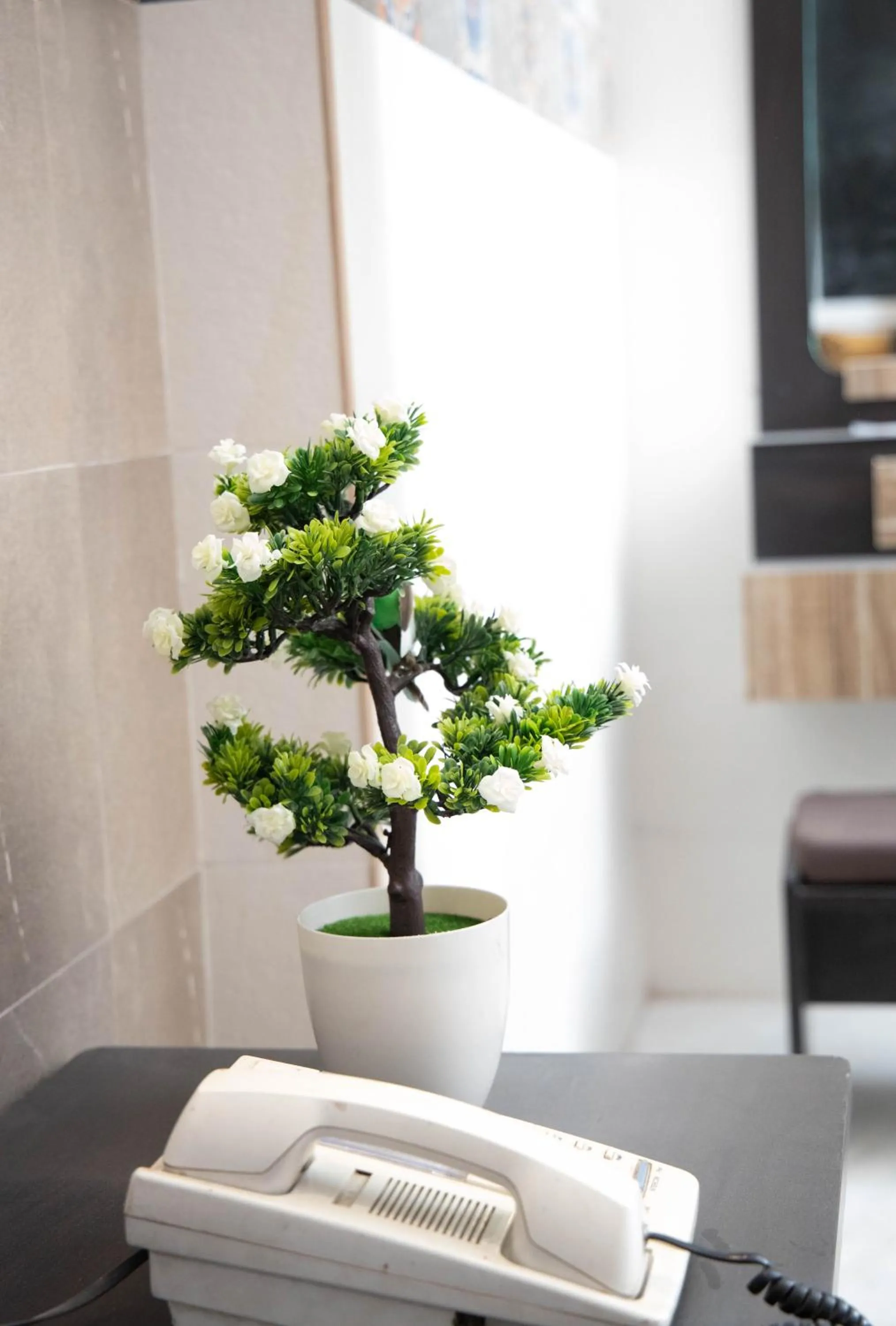 Property building in Hotel Ganesh Palace