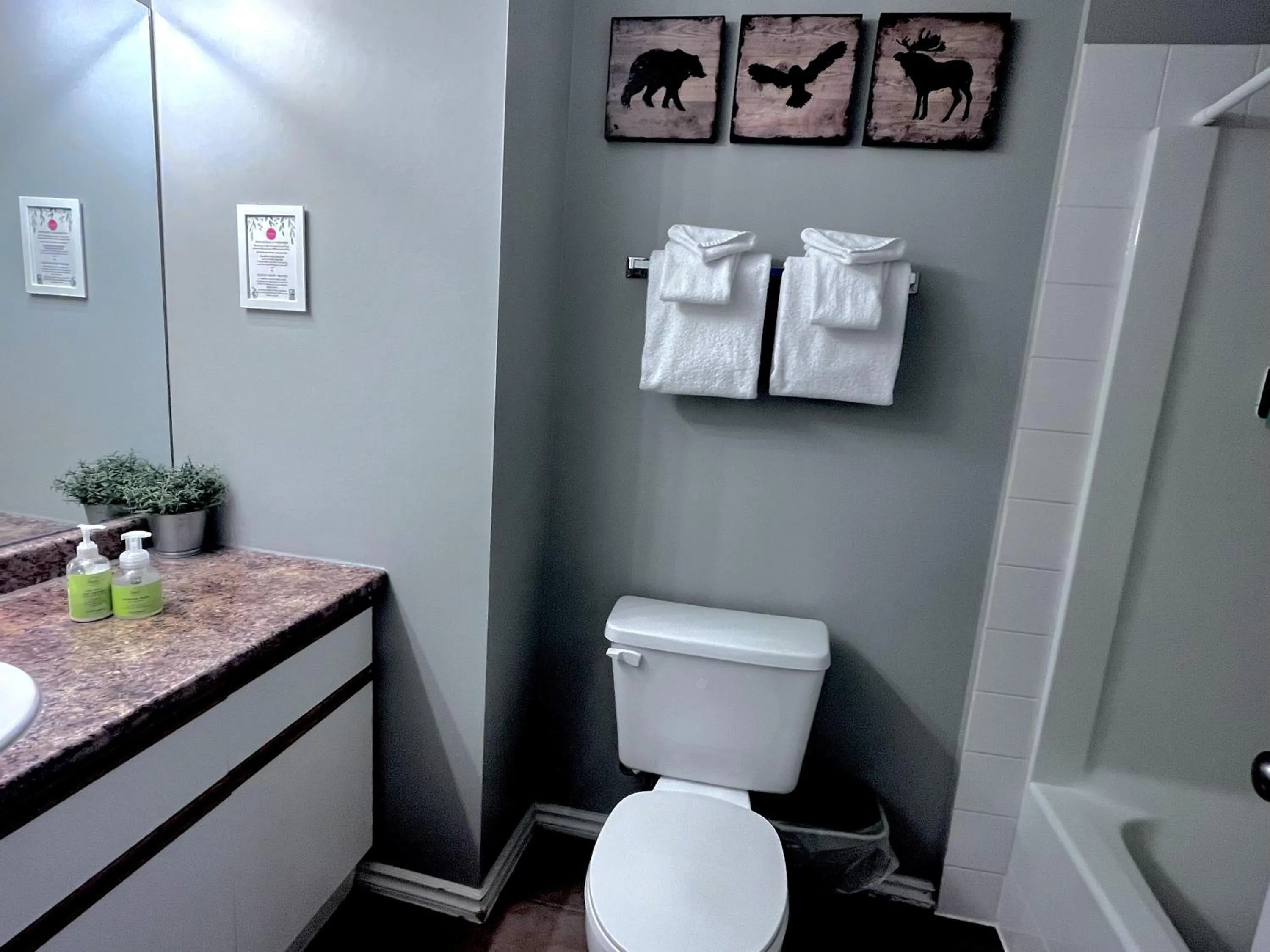 Bathroom in Canadian Rockies Chalets by Trilink - 2 & 3 Bedroom Condos - Self Check-In - Walking Distance to Downtown - Free Parking - Pet-Friendly - No AC