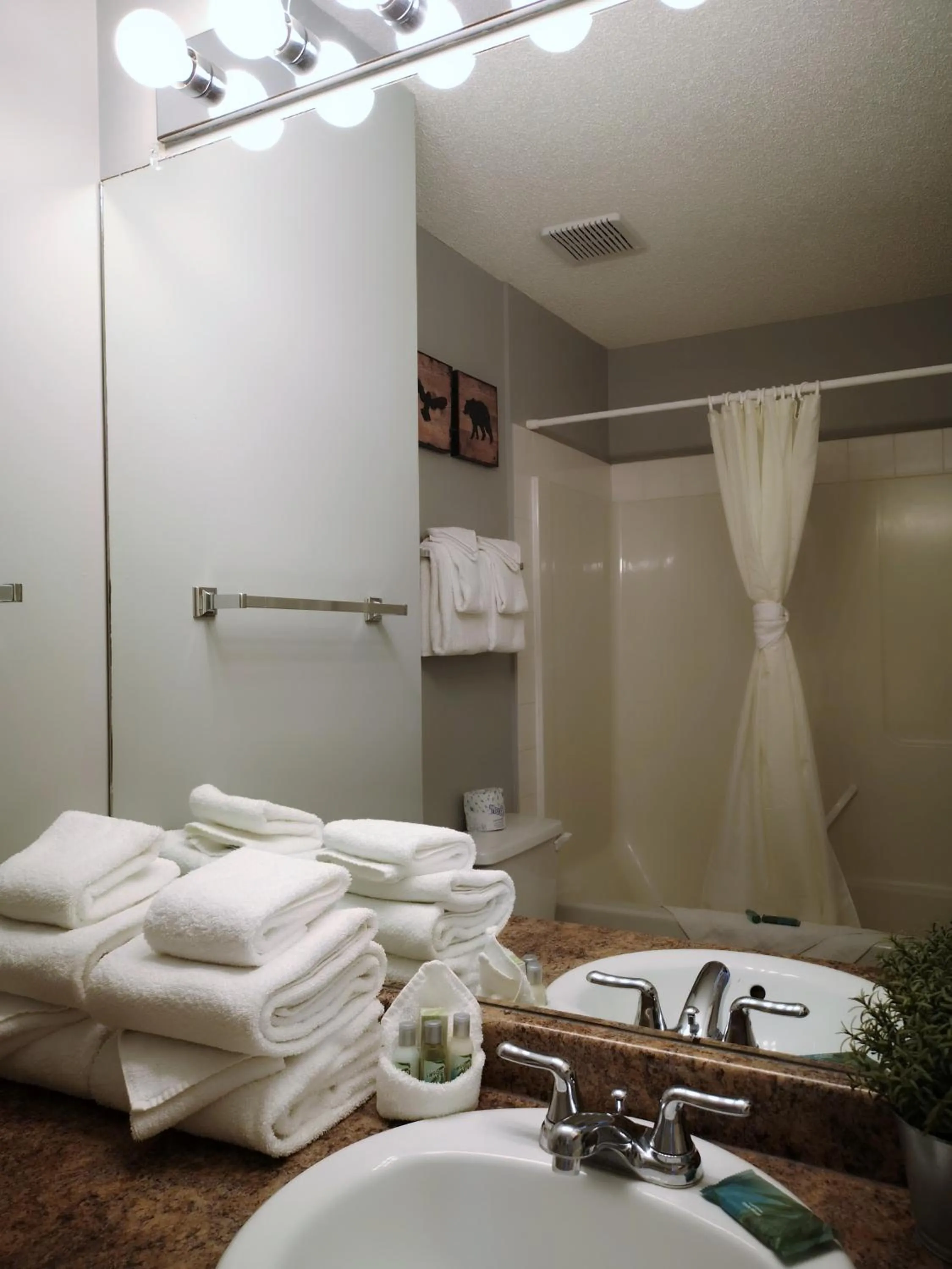 Shower in Canadian Rockies Chalets by Trilink - 2 & 3 Bedroom Condos - Self Check-In - Walking Distance to Downtown - Free Parking - Pet-Friendly - No AC