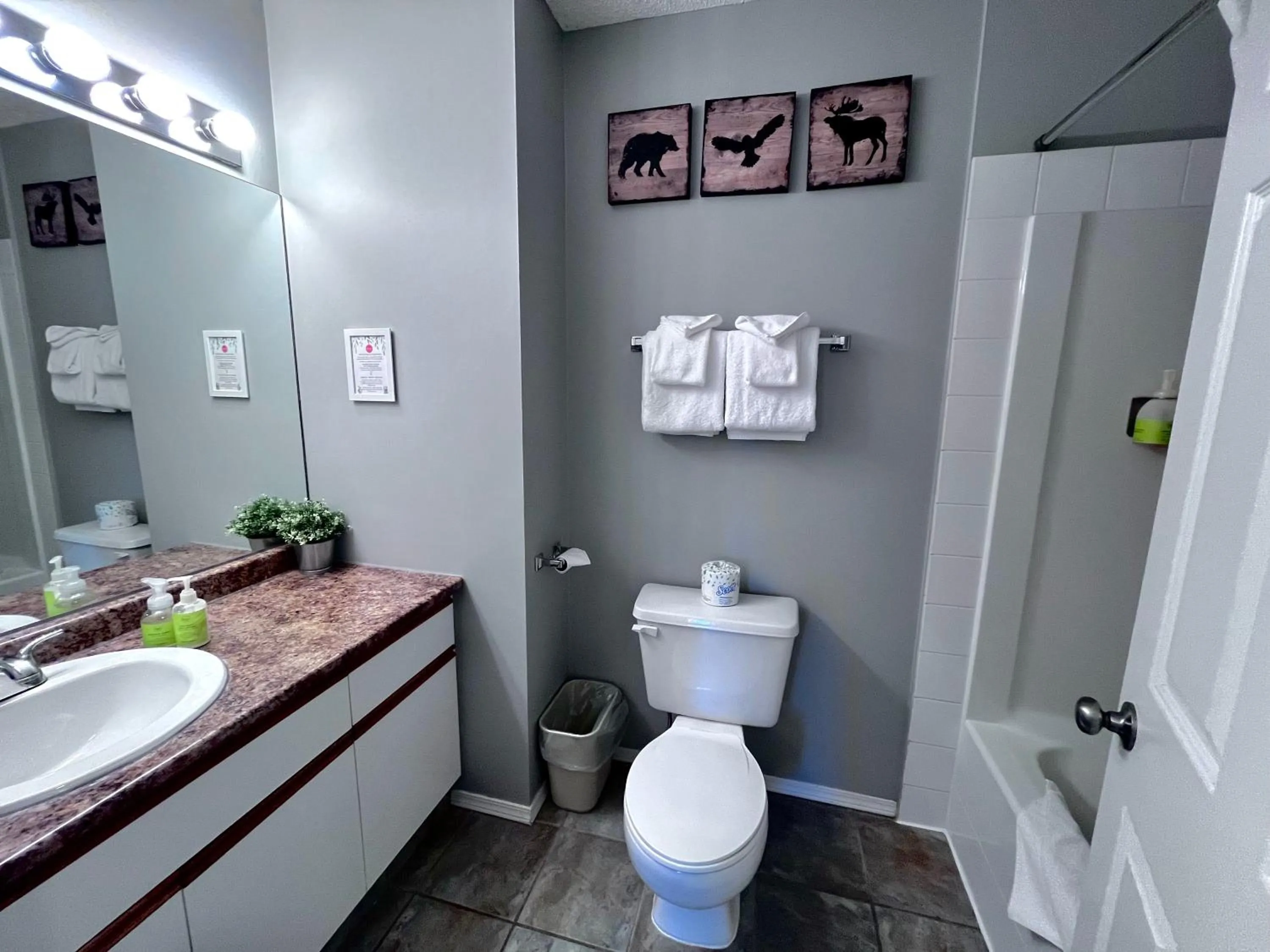 Toilet in Canadian Rockies Chalets by Trilink - 2 & 3 Bedroom Condos - Self Check-In - Walking Distance to Downtown - Free Parking - Pet-Friendly - No AC