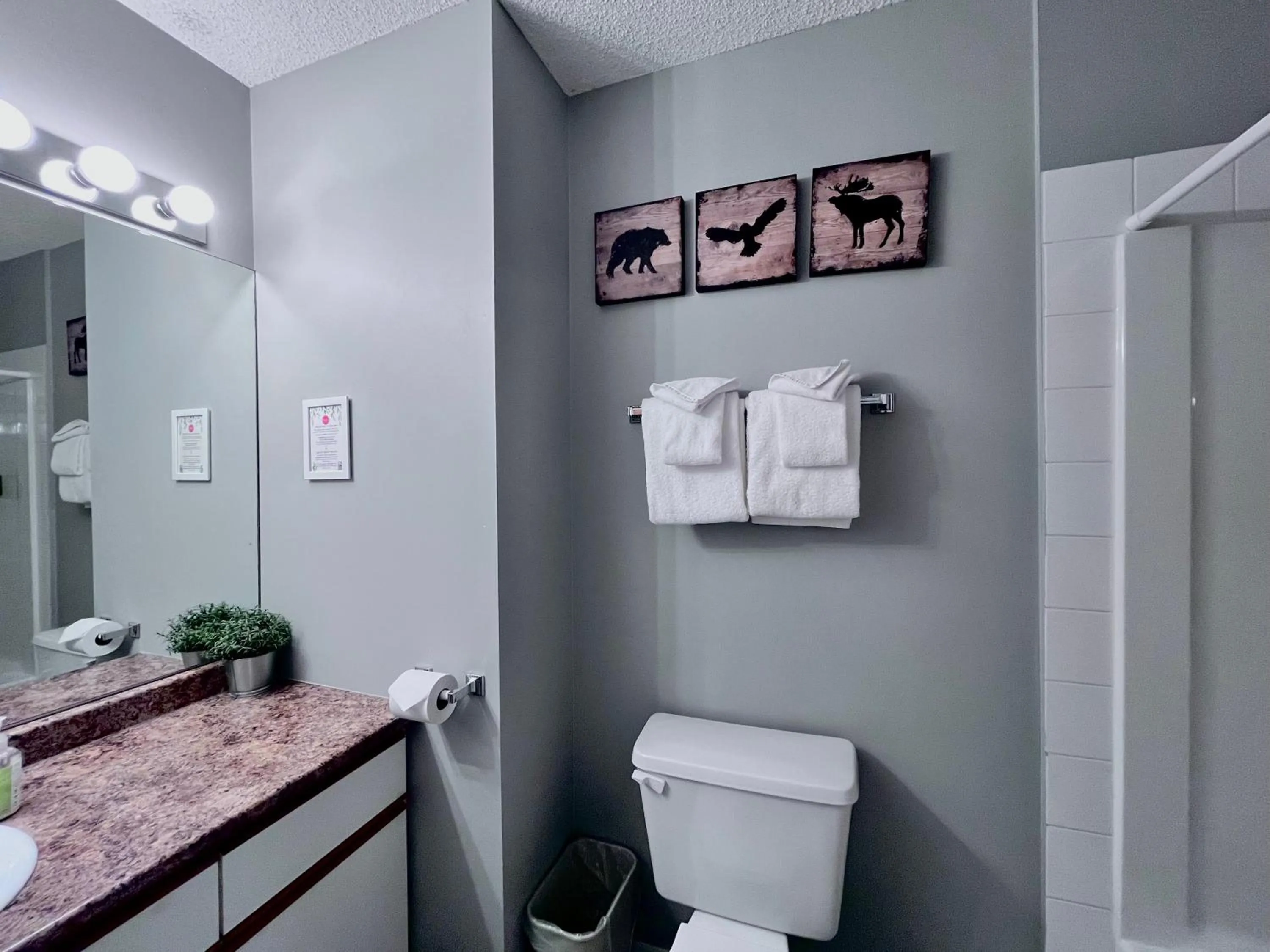 Toilet in Canadian Rockies Chalets by Trilink - 2 & 3 Bedroom Condos - Self Check-In - Walking Distance to Downtown - Free Parking - Pet-Friendly - No AC