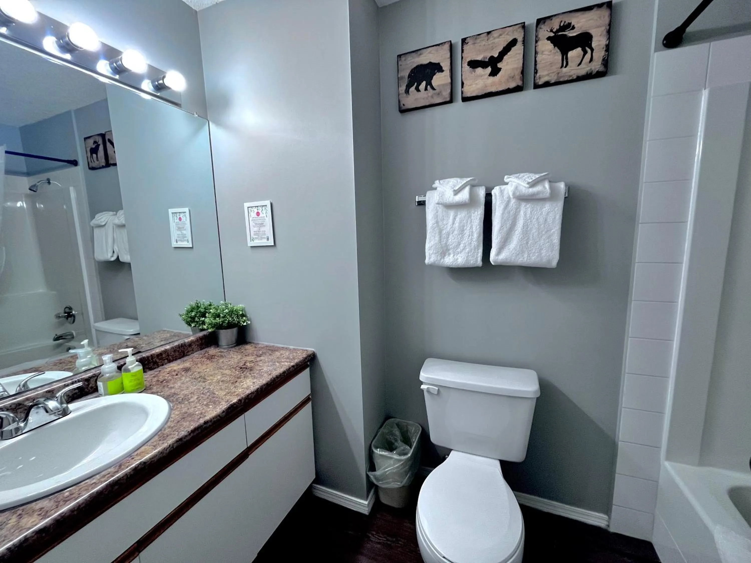 Toilet in Canadian Rockies Chalets by Trilink - 2 & 3 Bedroom Condos - Self Check-In - Walking Distance to Downtown - Free Parking - Pet-Friendly - No AC