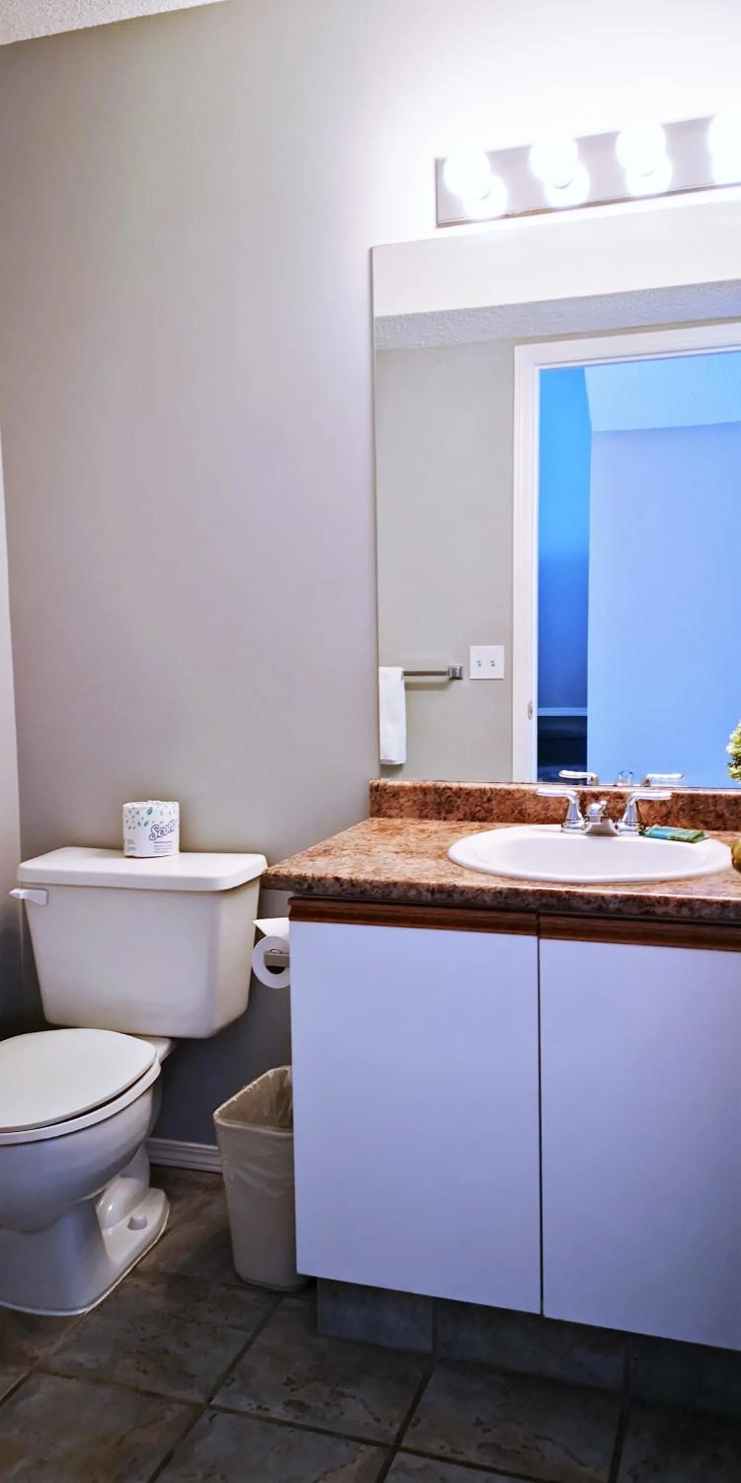 Toilet in Canadian Rockies Chalets by Trilink - 2 & 3 Bedroom Condos - Self Check-In - Walking Distance to Downtown - Free Parking - Pet-Friendly - No AC