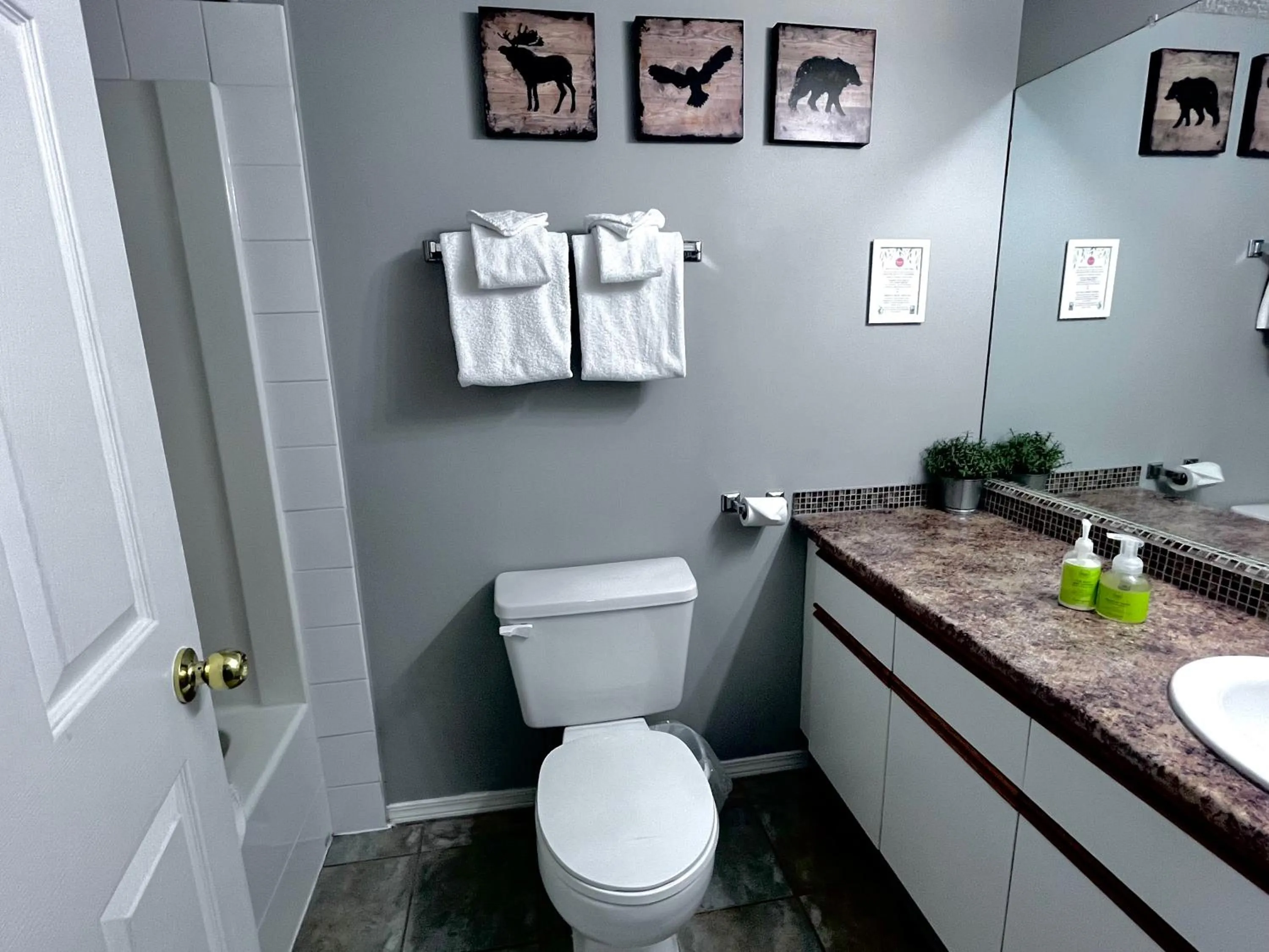 Toilet in Canadian Rockies Chalets by Trilink - 2 & 3 Bedroom Condos - Self Check-In - Walking Distance to Downtown - Free Parking - Pet-Friendly - No AC