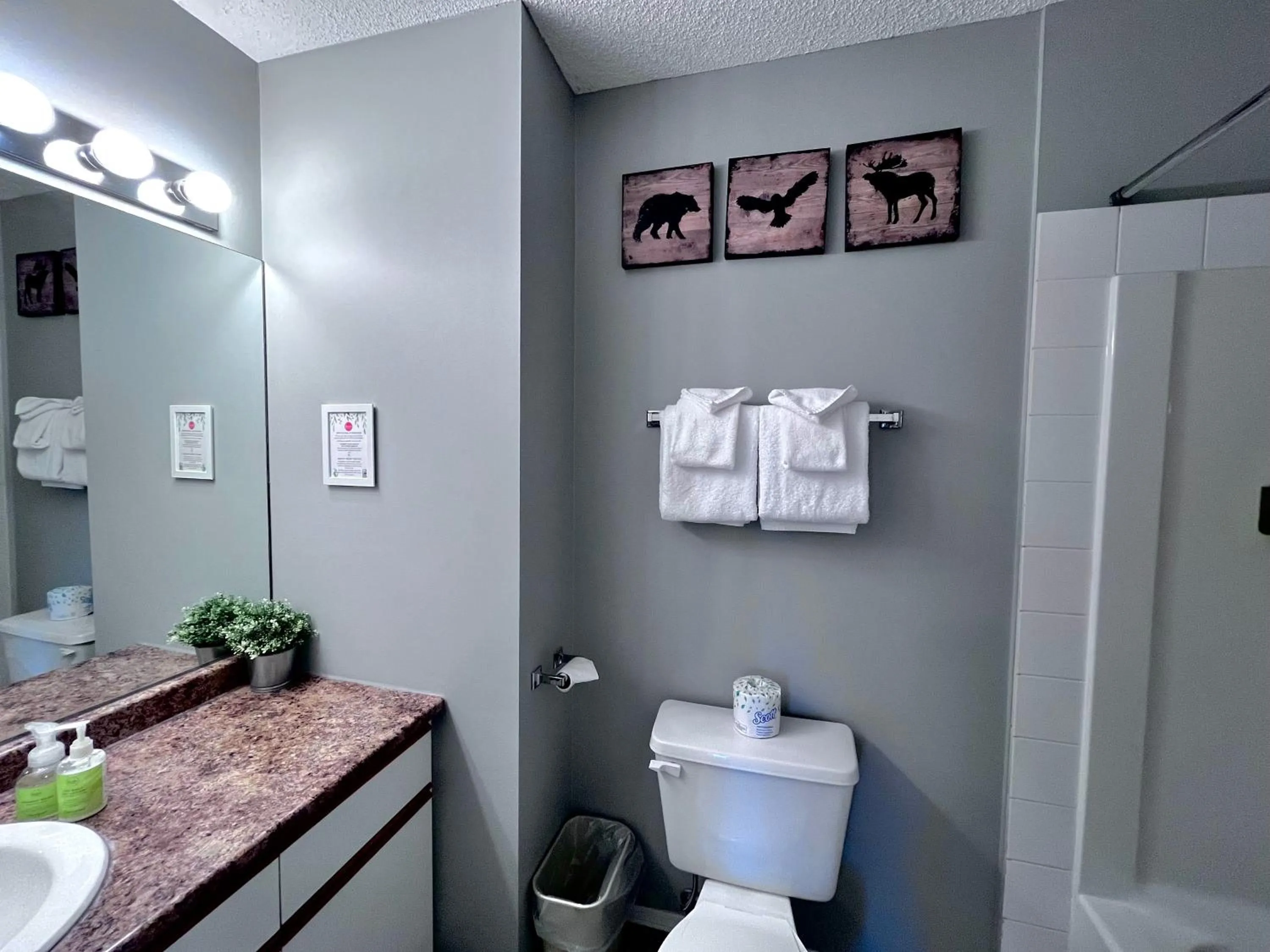 Toilet in Canadian Rockies Chalets by Trilink - 2 & 3 Bedroom Condos - Self Check-In - Walking Distance to Downtown - Free Parking - Pet-Friendly - No AC