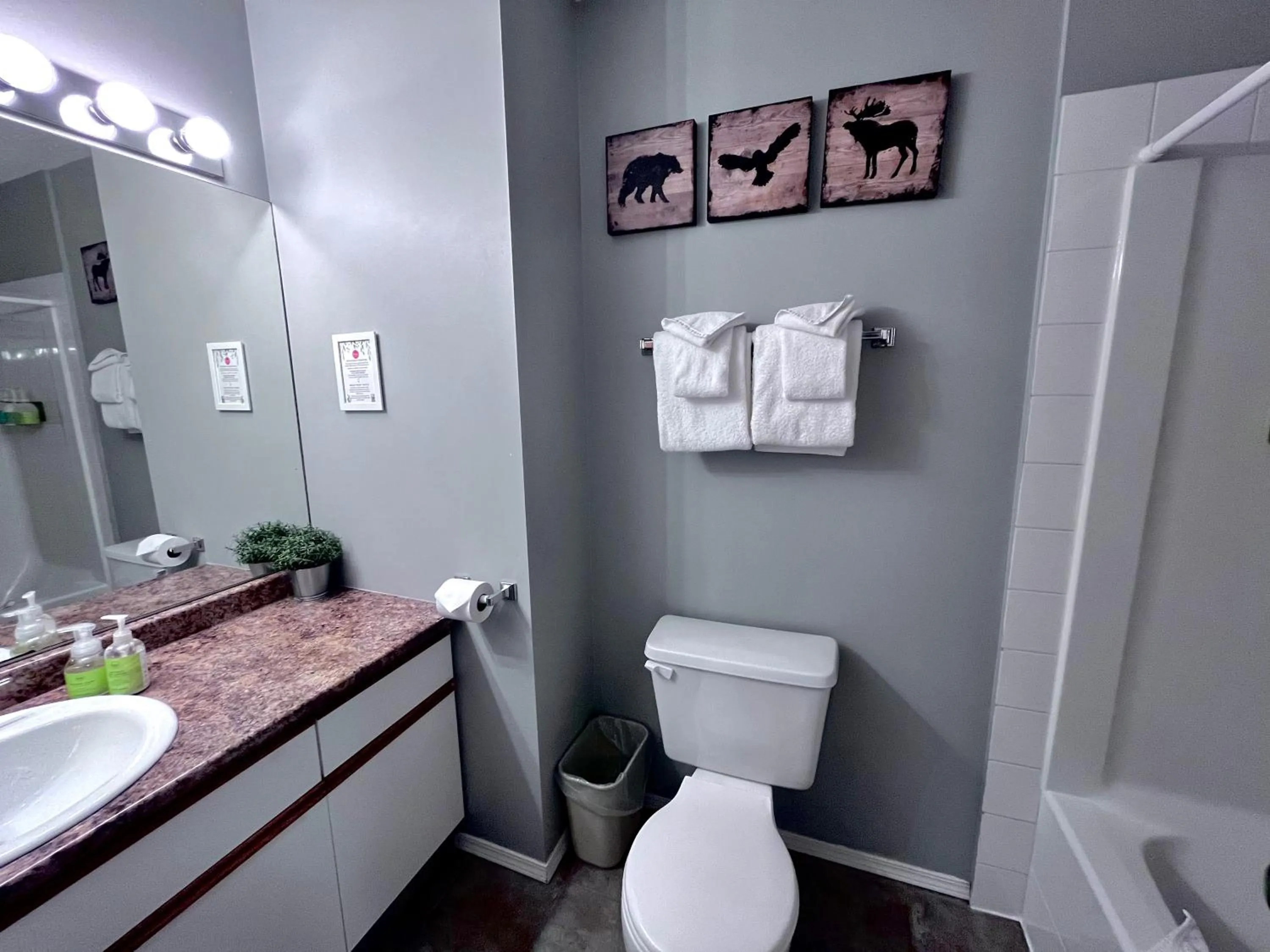 Toilet in Canadian Rockies Chalets by Trilink - 2 & 3 Bedroom Condos - Self Check-In - Walking Distance to Downtown - Free Parking - Pet-Friendly - No AC