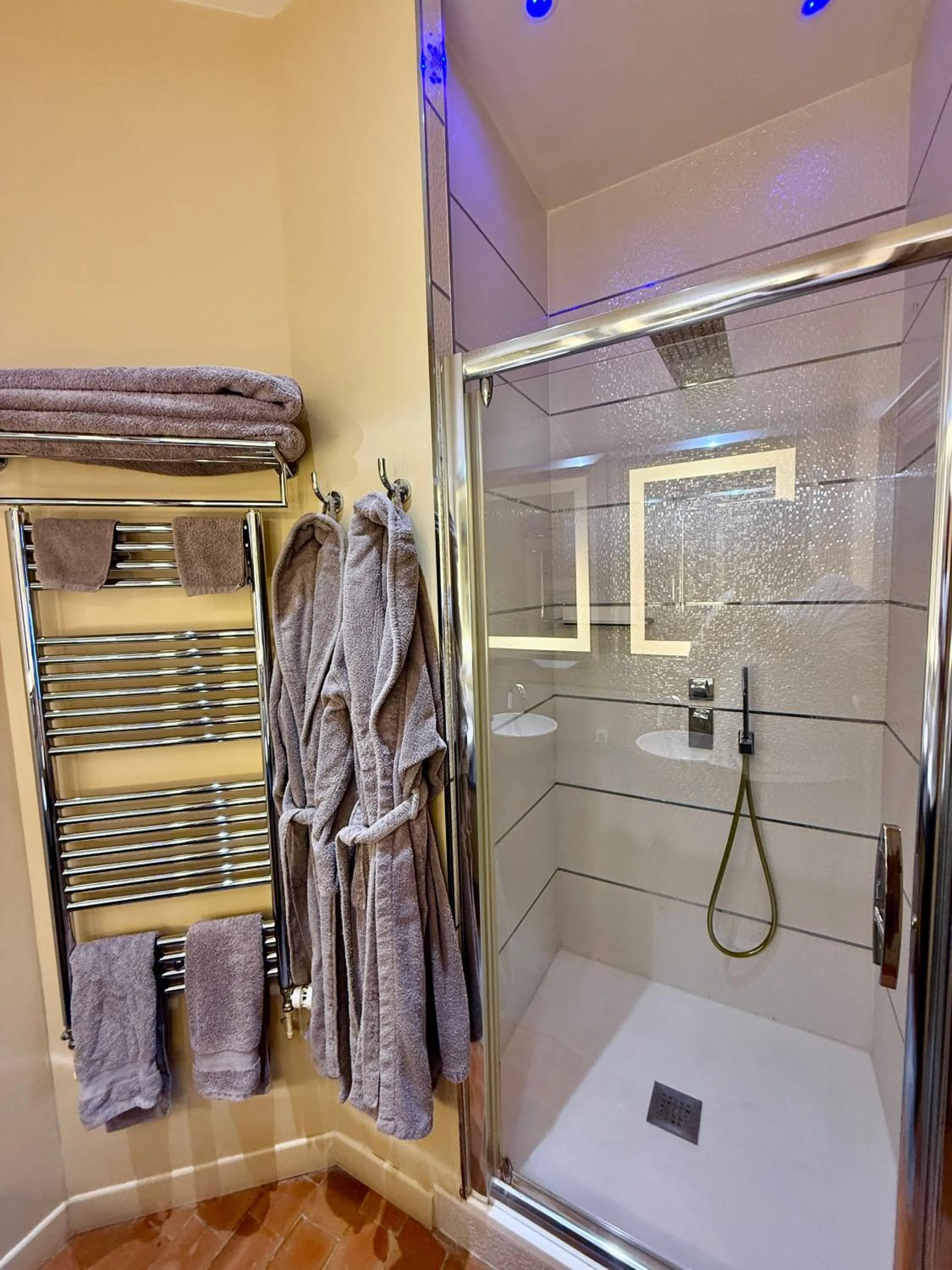 Shower in Demeure des Vieux Bains