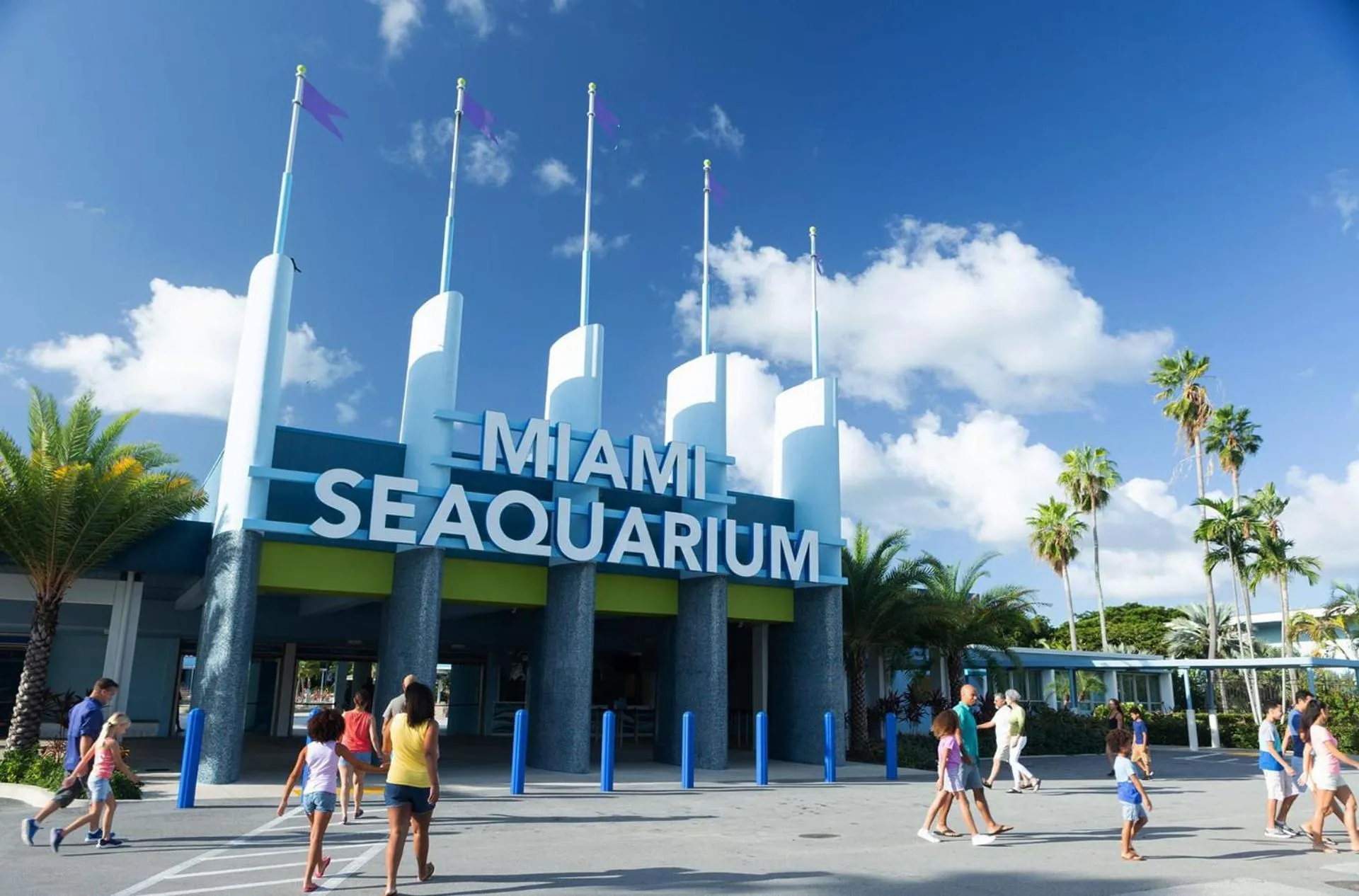 Roami at The Carmela