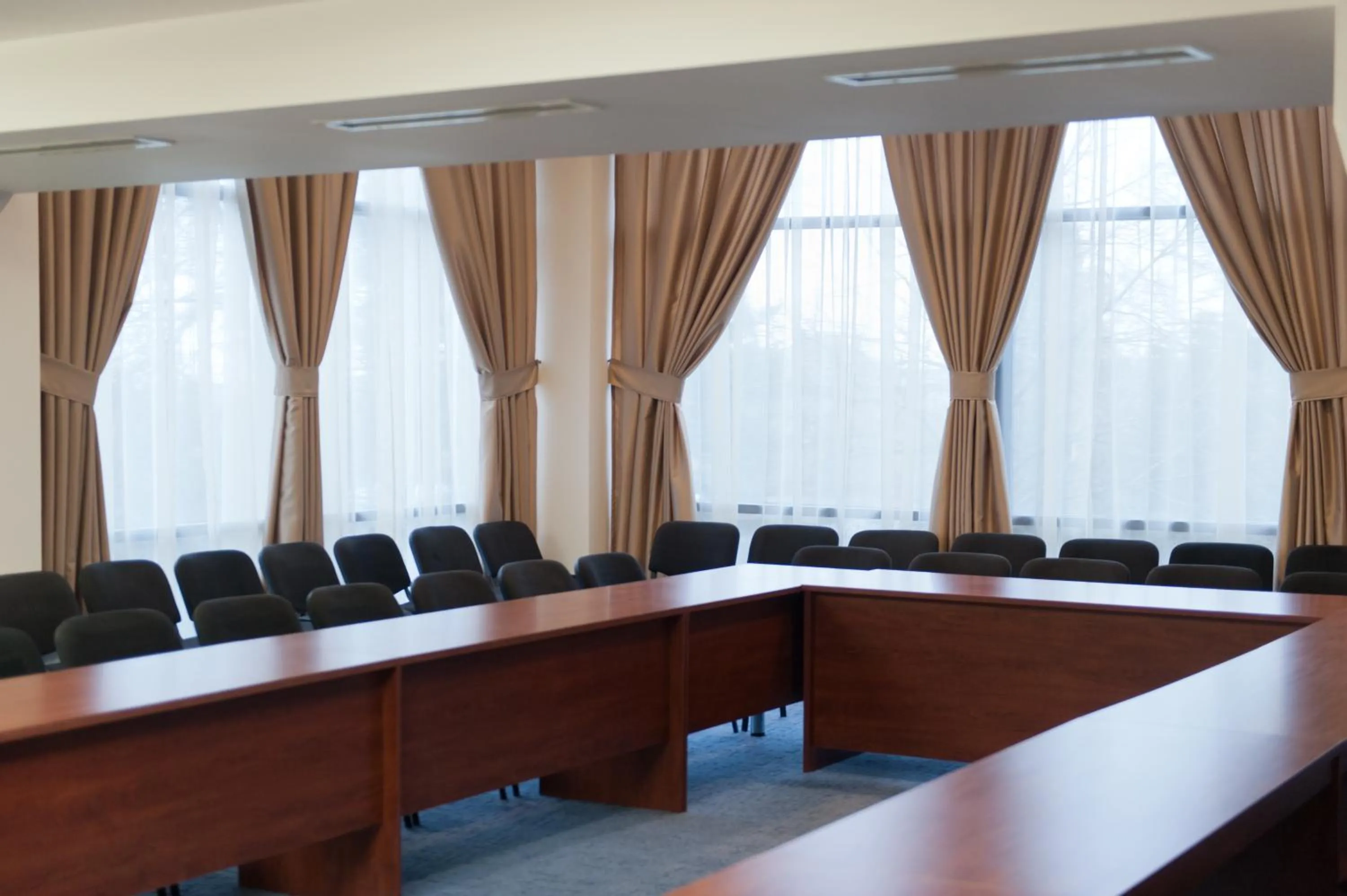 Business facilities in Hotel Astrea