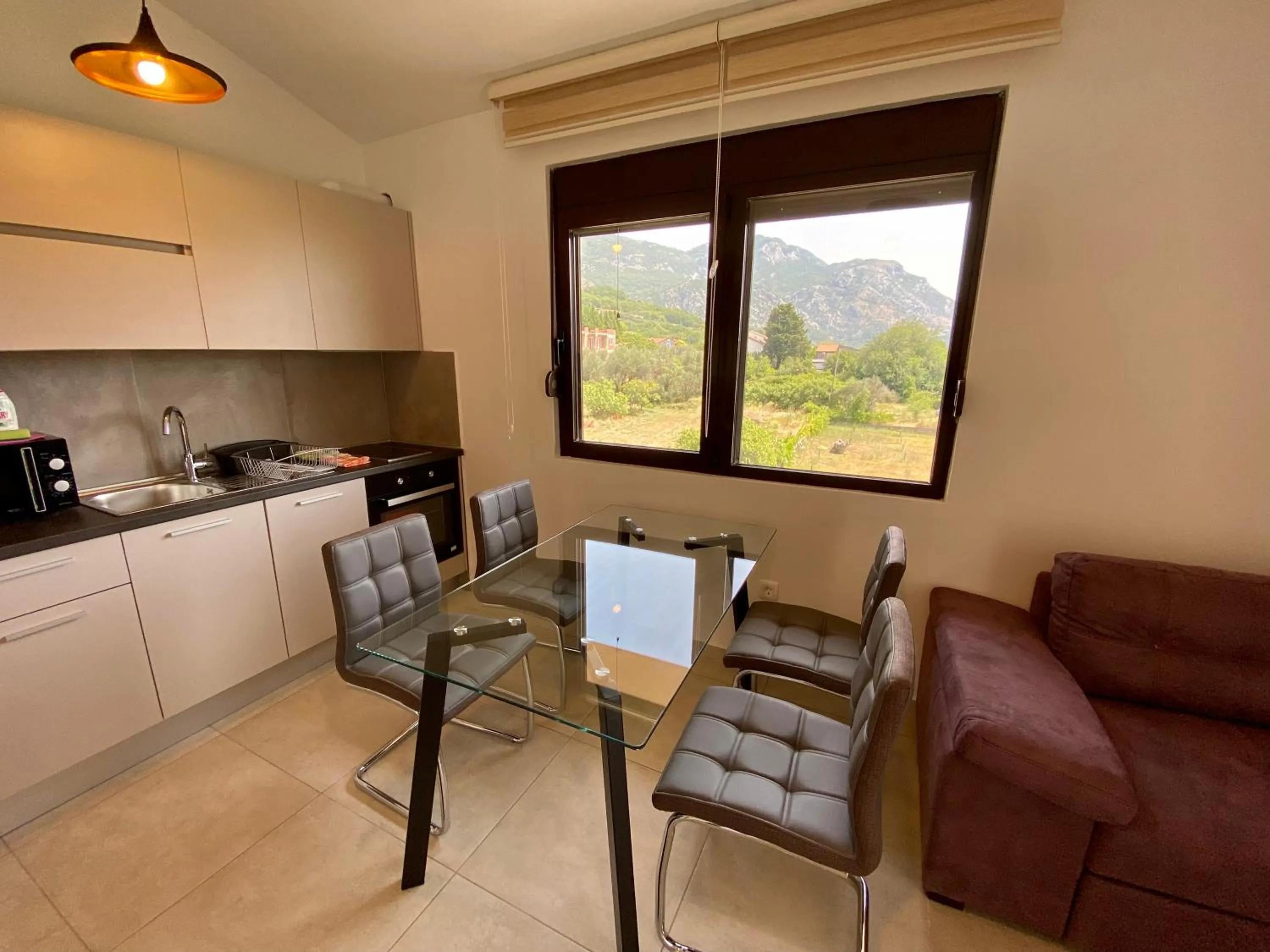 Kitchen or kitchenette in Villa Dolphin Apartments