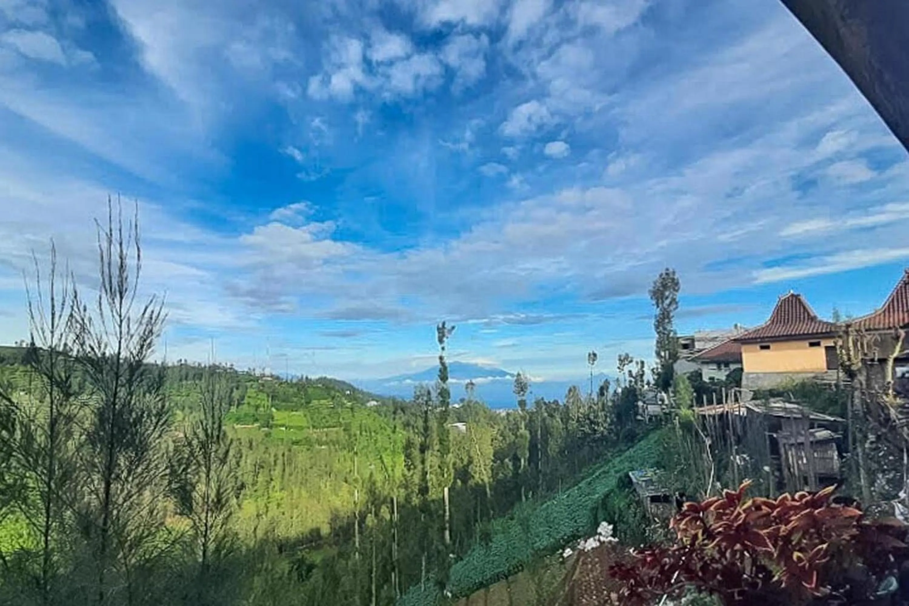 View (from property/room) in Bromo Indah Lestari Homestay Mitra RedDoorz