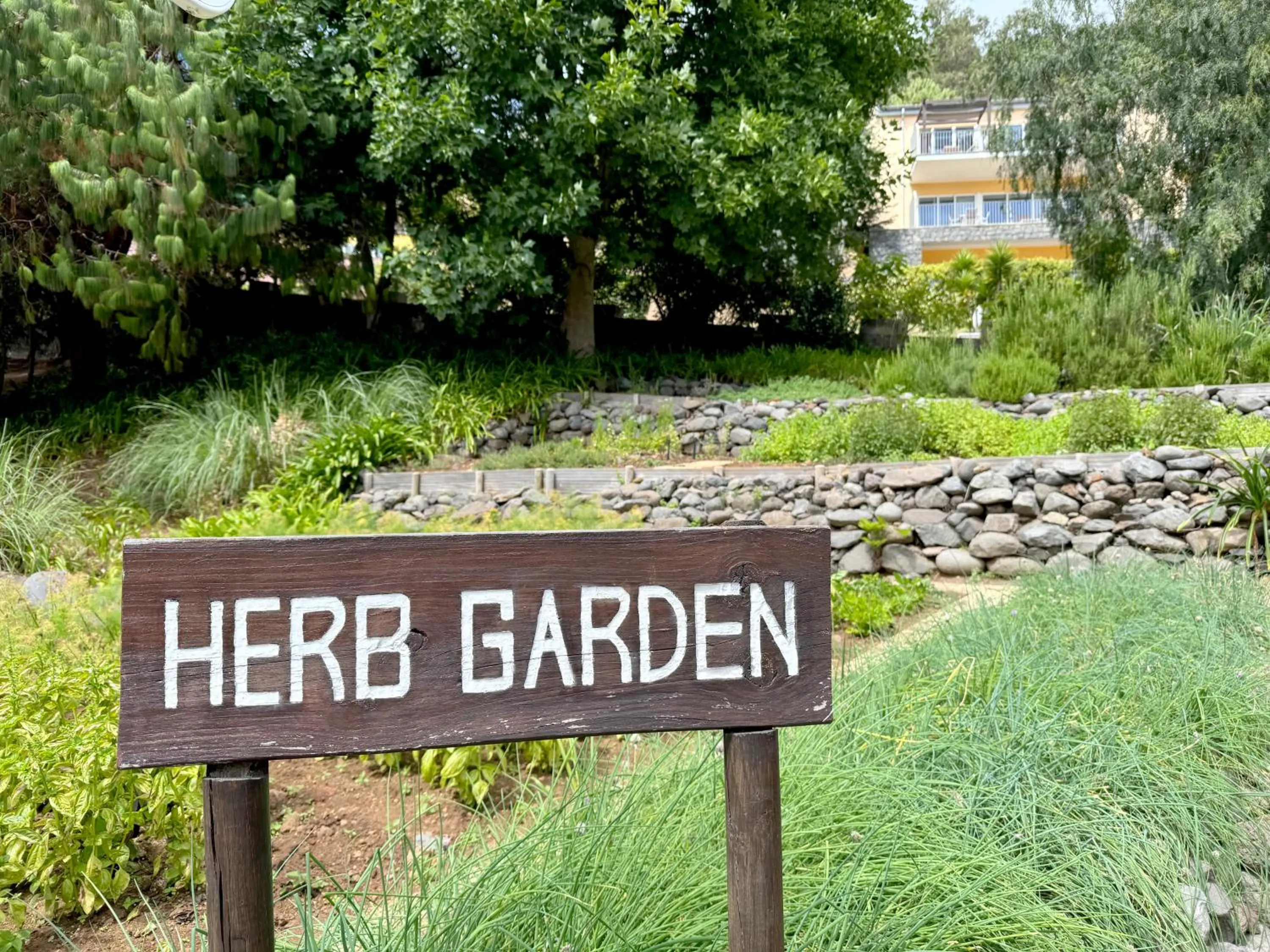 Garden in Village Cabo Girao