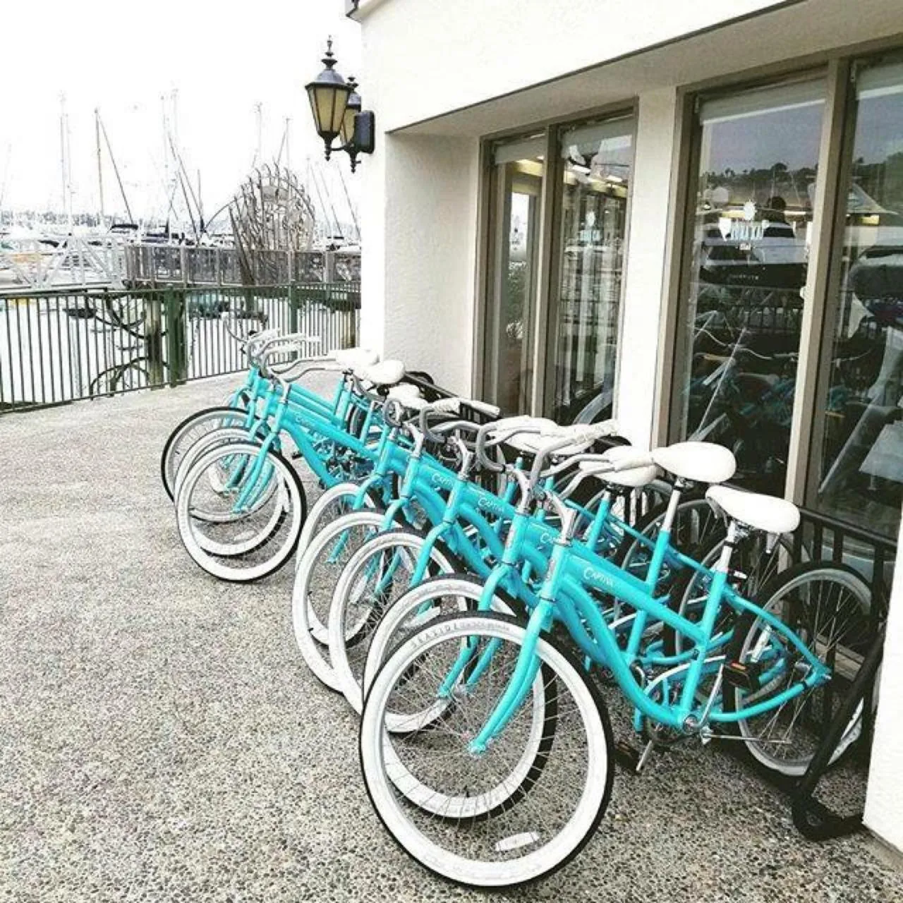 Activities in Kona Kai Resort & Spa, a Noble House Resort