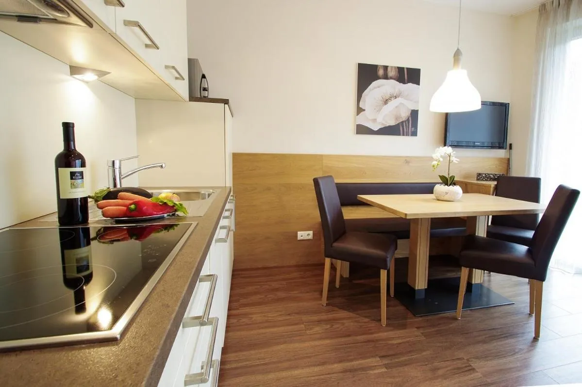 Kitchen or kitchenette in Apartment Hotel Christine