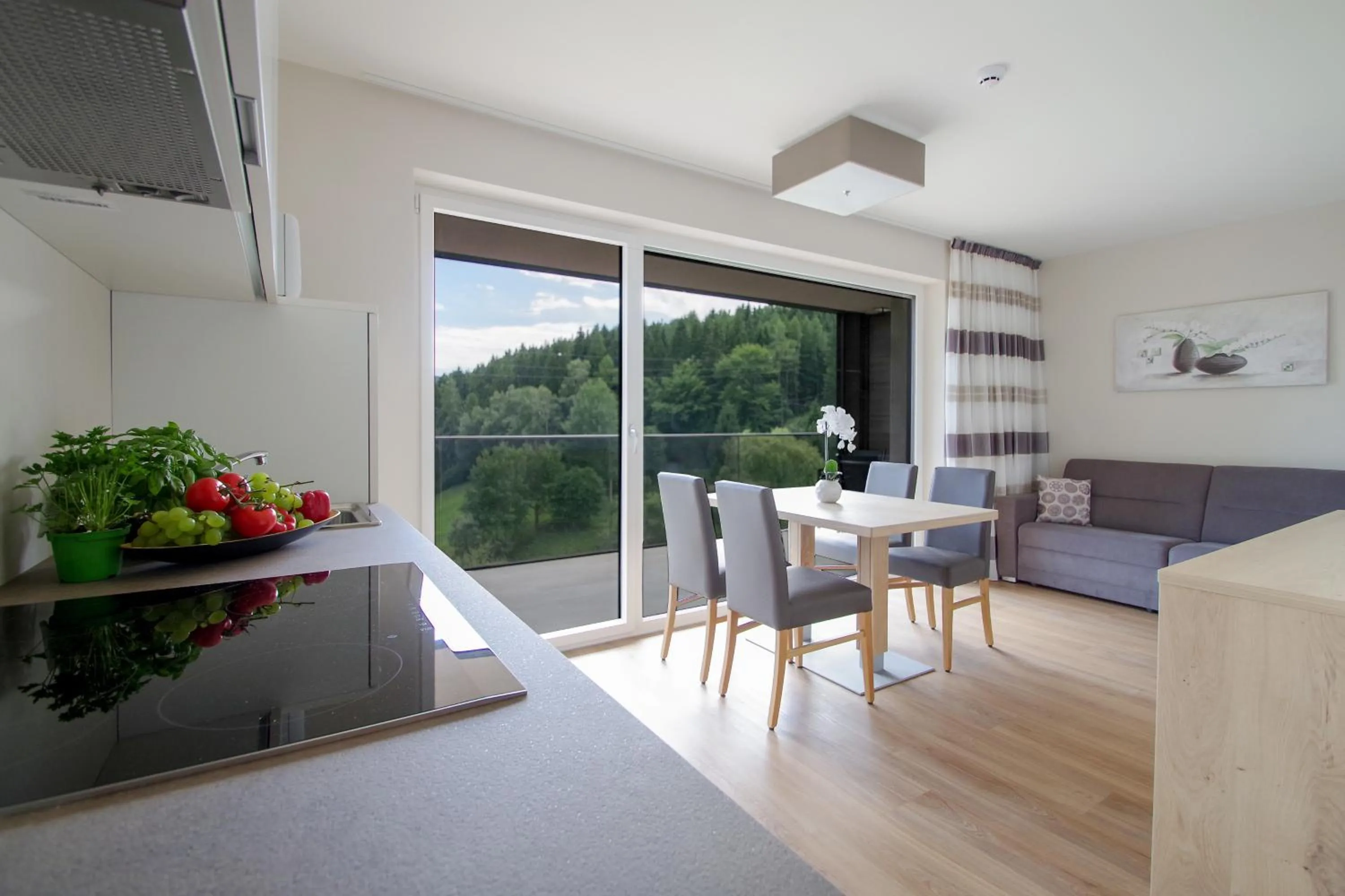 Living room in Apartment Hotel Christine