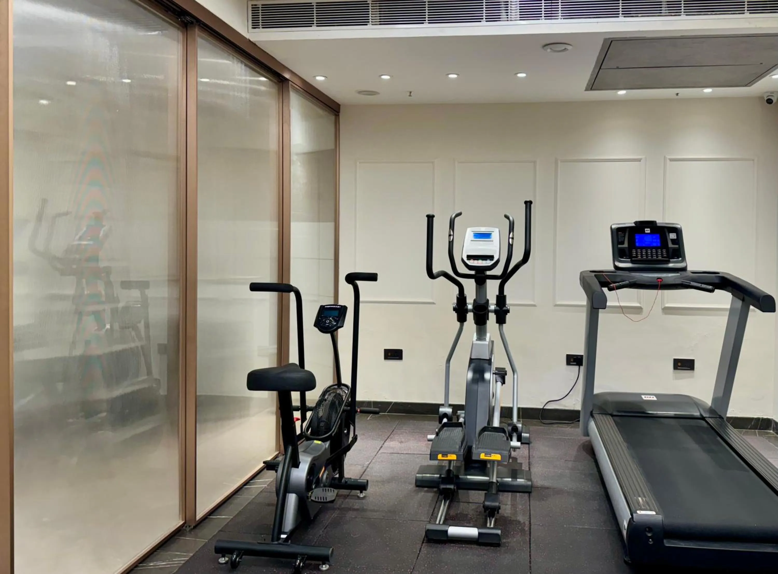 Fitness centre/facilities in The Prime Delhi Luxe Collection Hotel