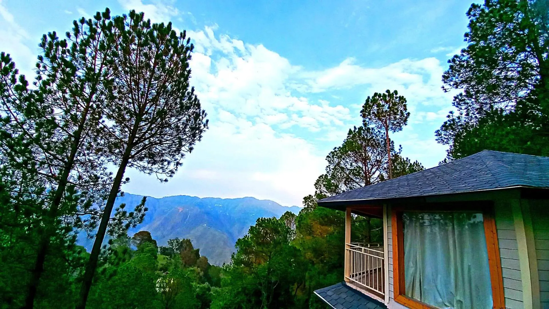 View (from property/room) in The Woods Retreat