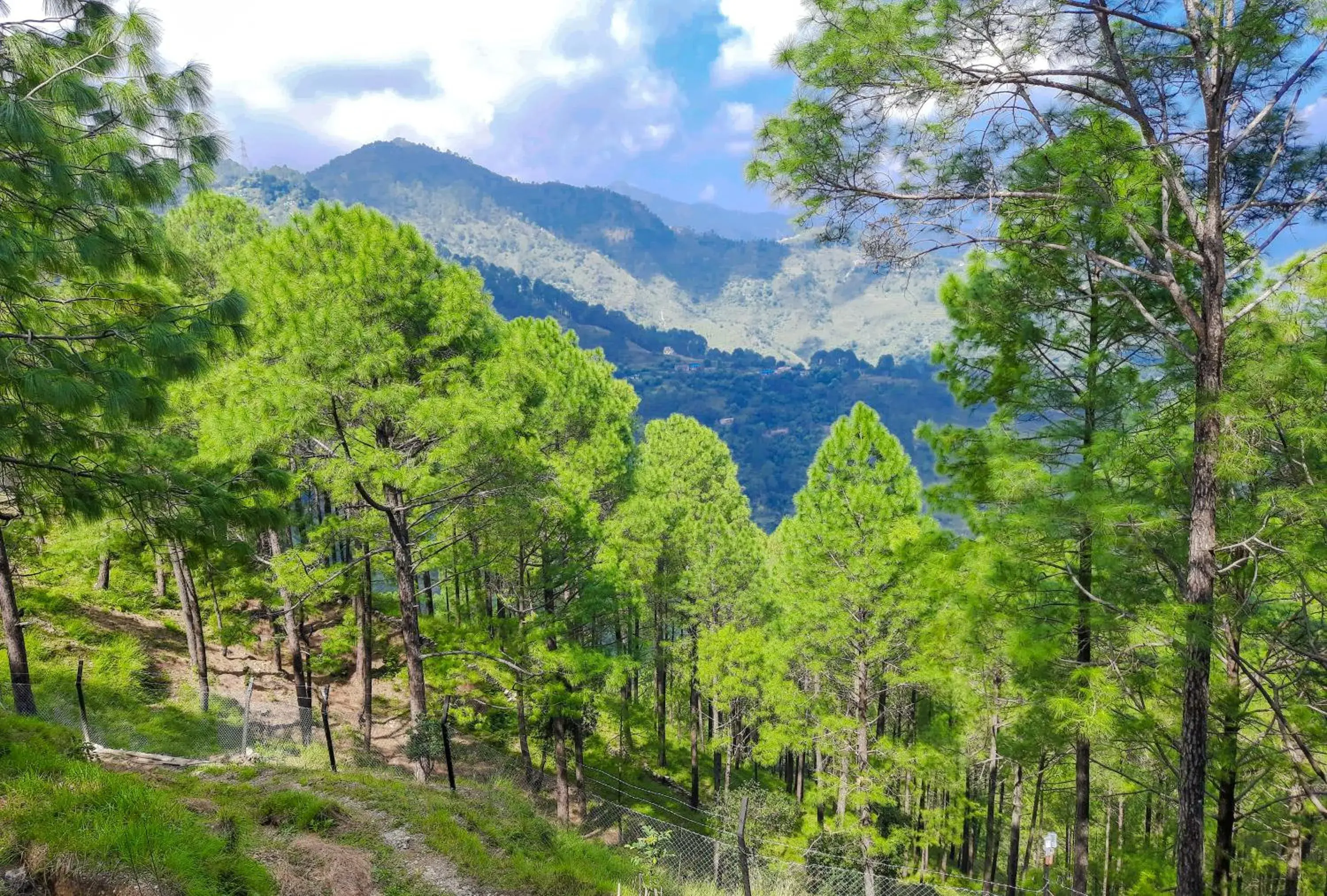 King Room with Mountain View in The Woods Retreat King Room with Mountain View in The Woods Retreat