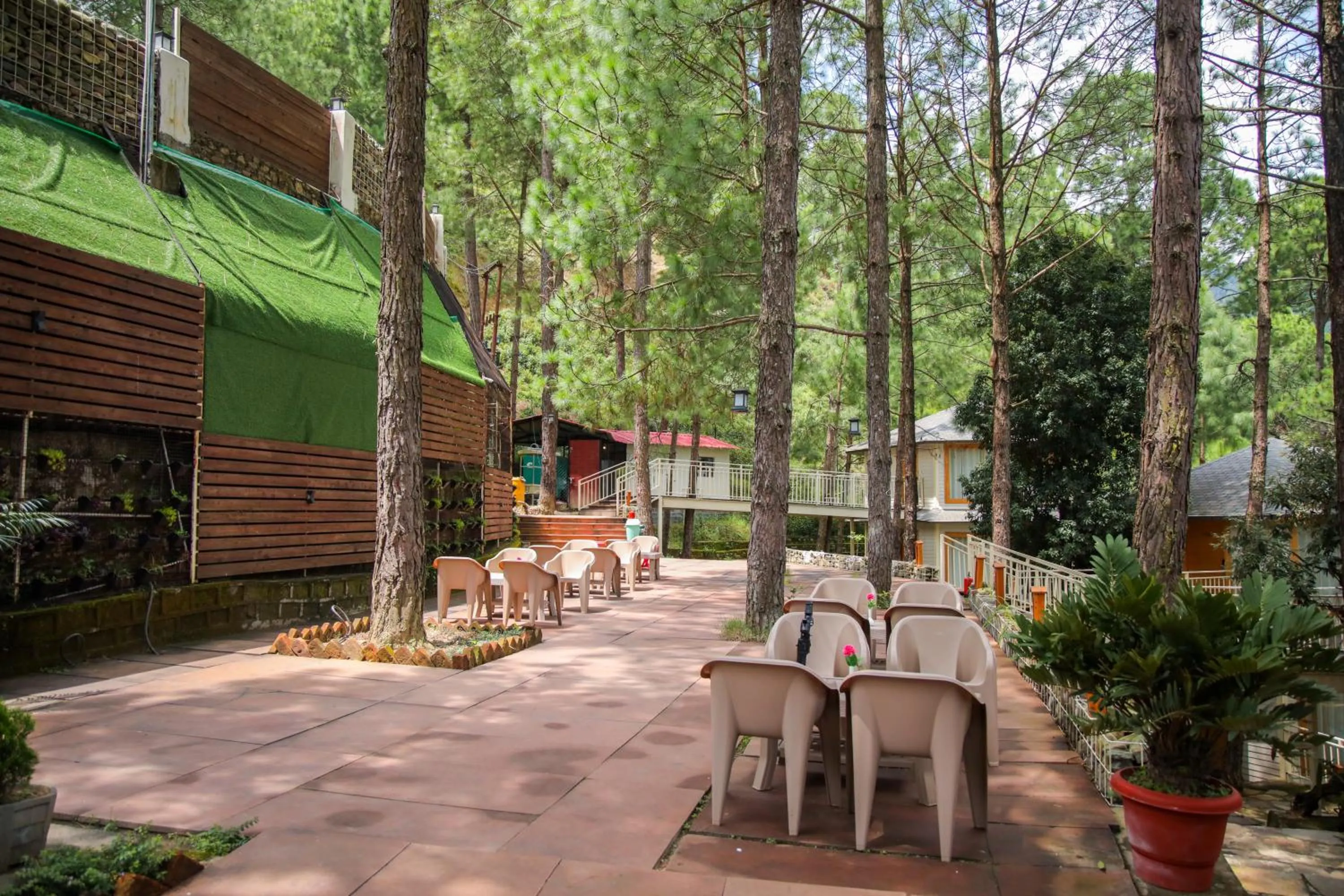 Natural landscape in The Woods Retreat