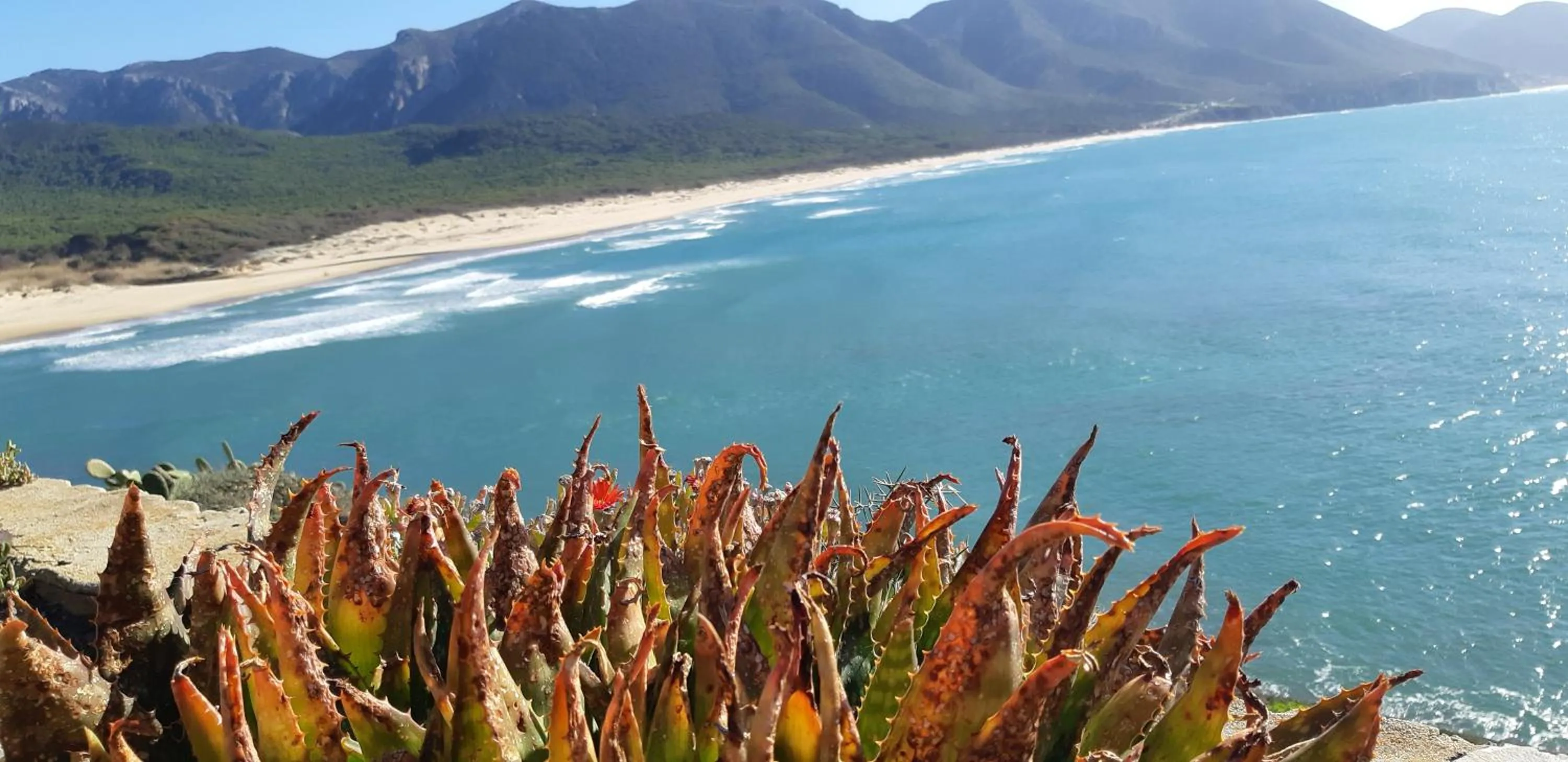 Nearby landmark in I Ginepri B&B
