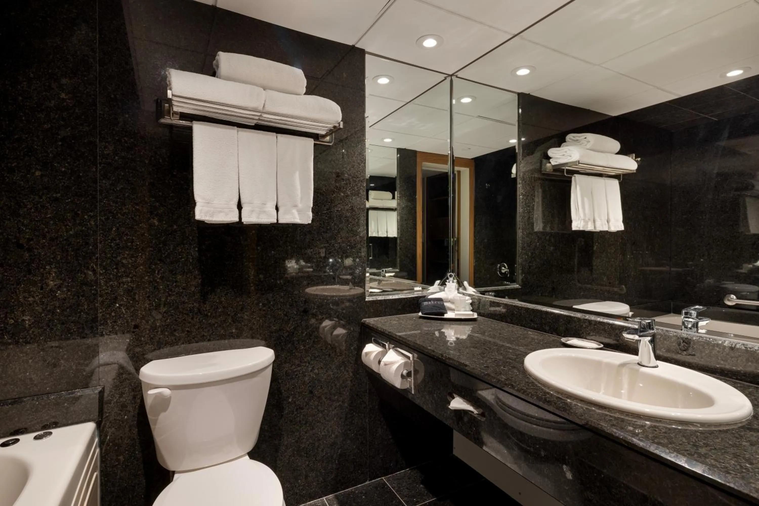 Bathroom in Banff Park Lodge