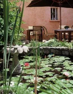 Garden in Logis Hôtel restaurant des Pins