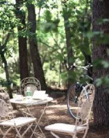 Balcony/Terrace in Logis Hôtel restaurant des Pins