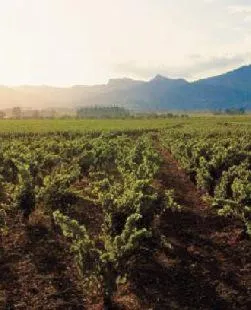 Area and facilities in Logis Hôtel restaurant des Pins