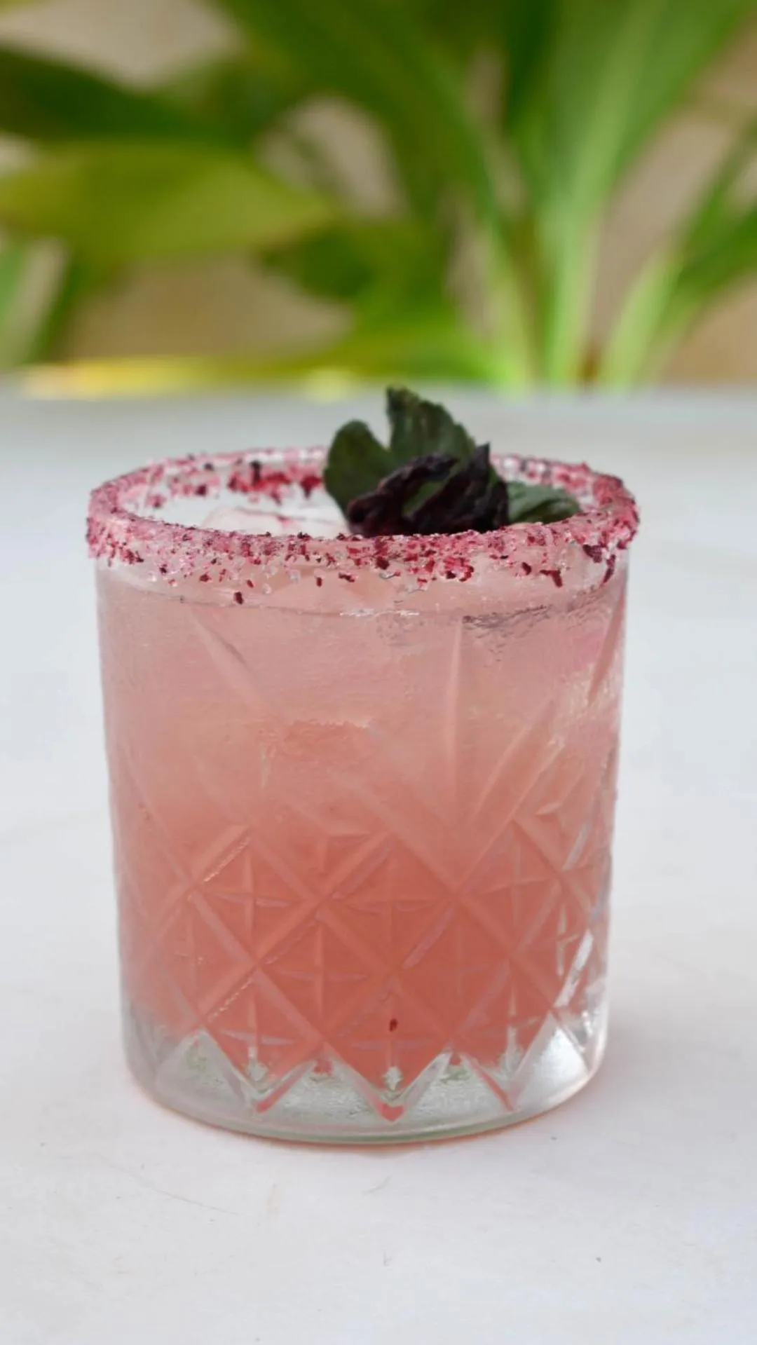 Lounge or bar in Eterna Tulum