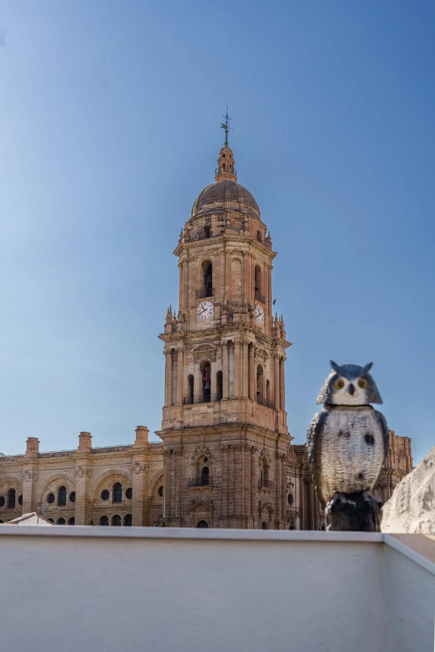 Other in Apartamentos Gibralfaro Centro