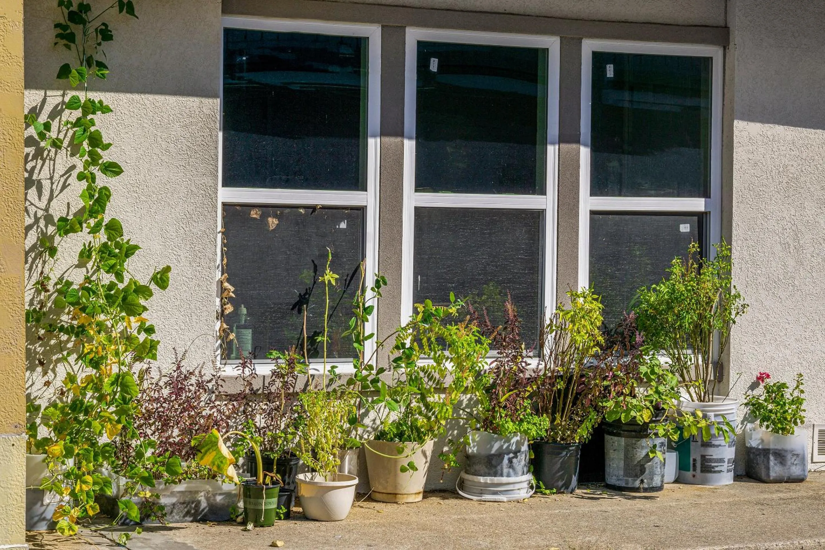 Garden in Hotel Comfort Stay by OYO Texarkana East, AR I-30