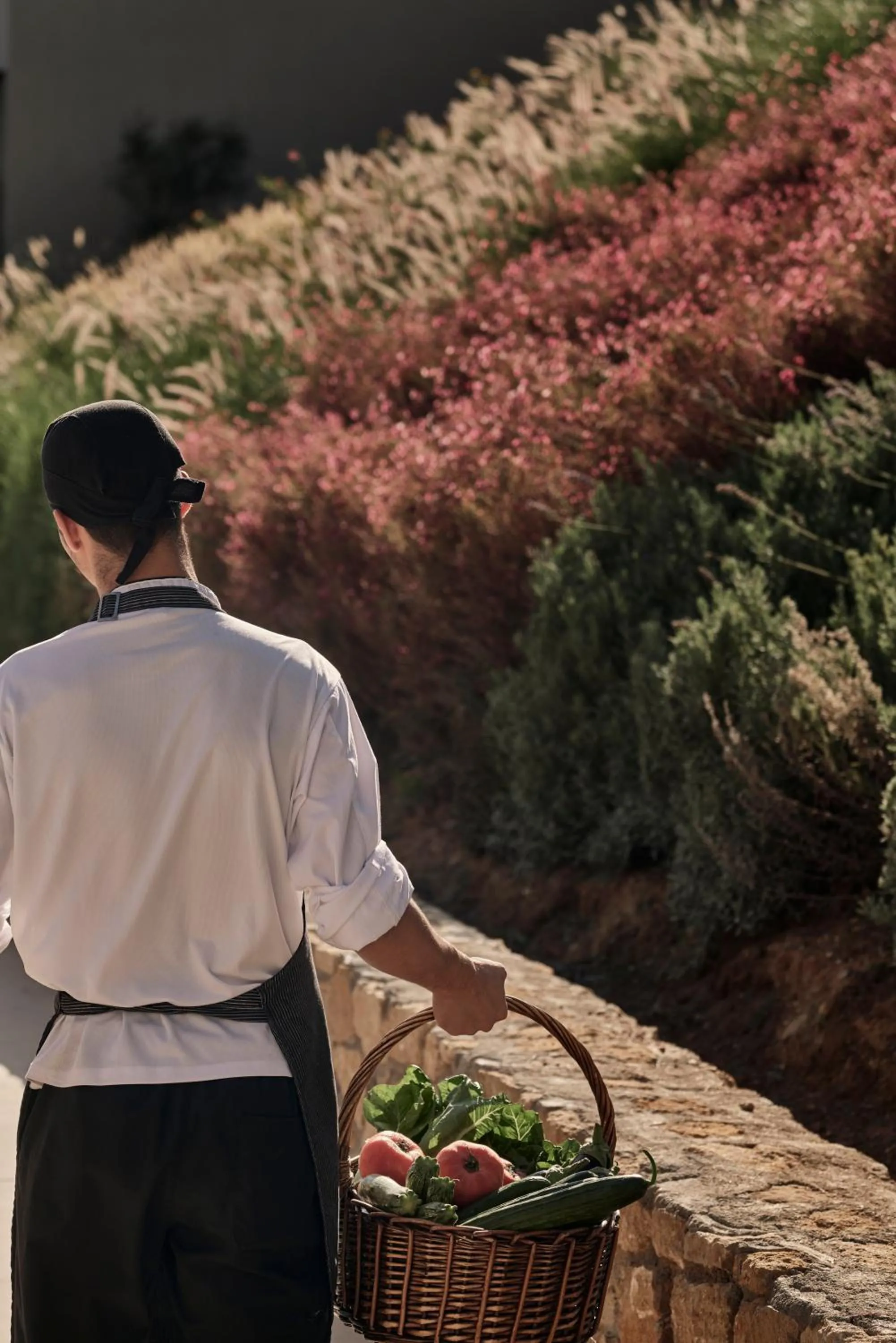 Staff in Celestial All Suites