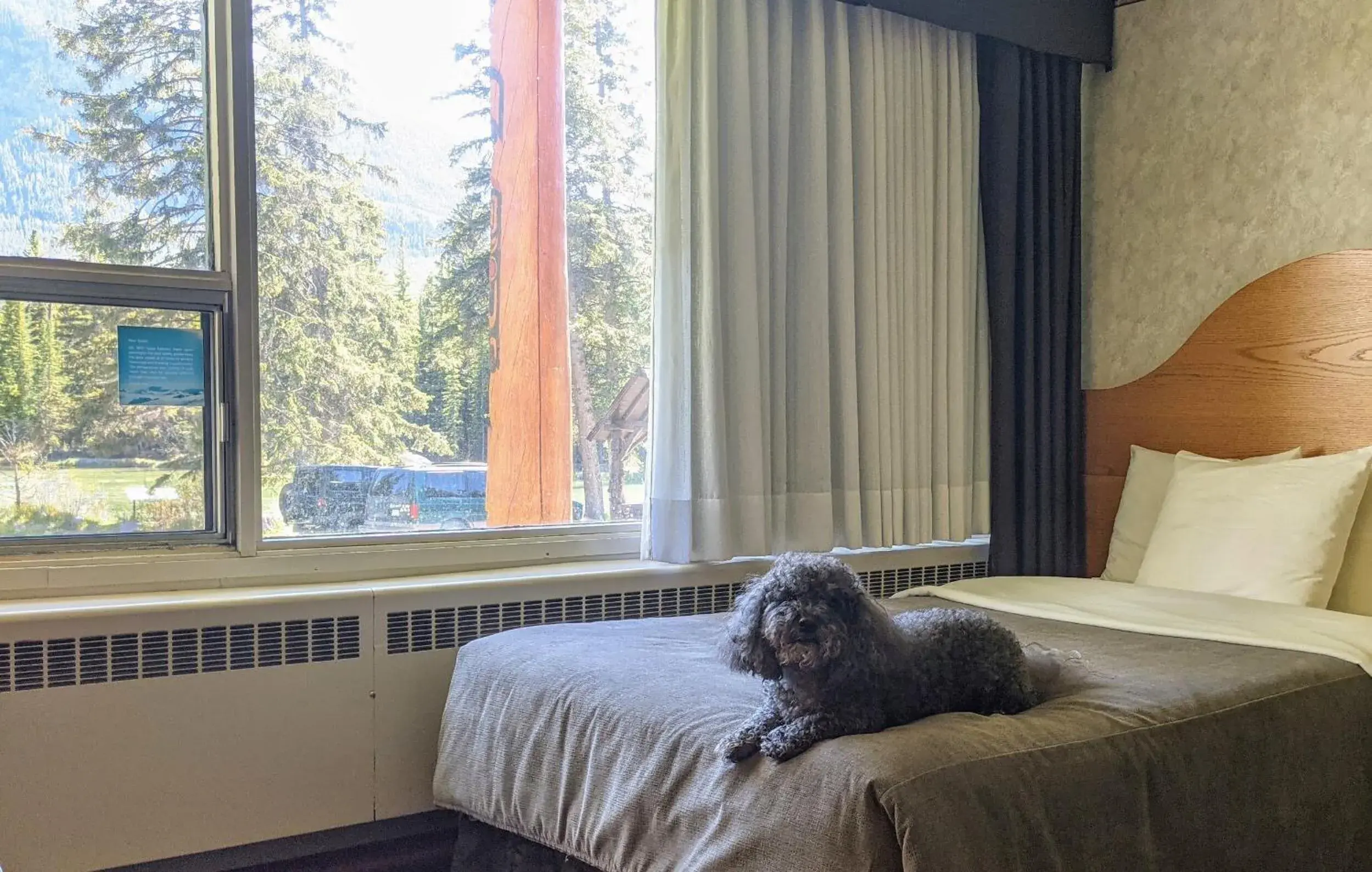 Double Room with Two Double Beds - Pet Friendly in Bow View Lodge Double Room with Two Double Beds - Pet Friendly in Bow View Lodge