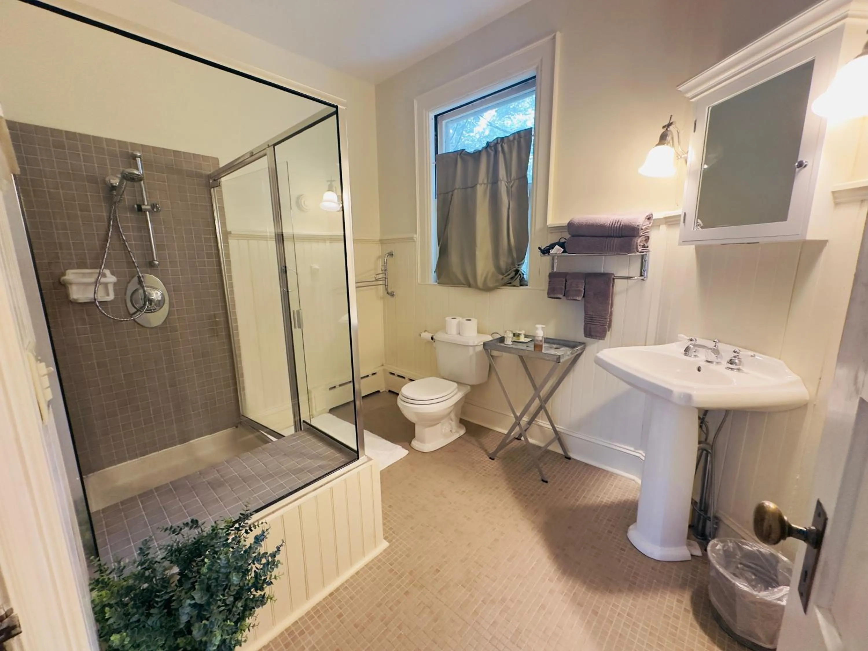 Shower in Franklin Manor Bed and Breakfast