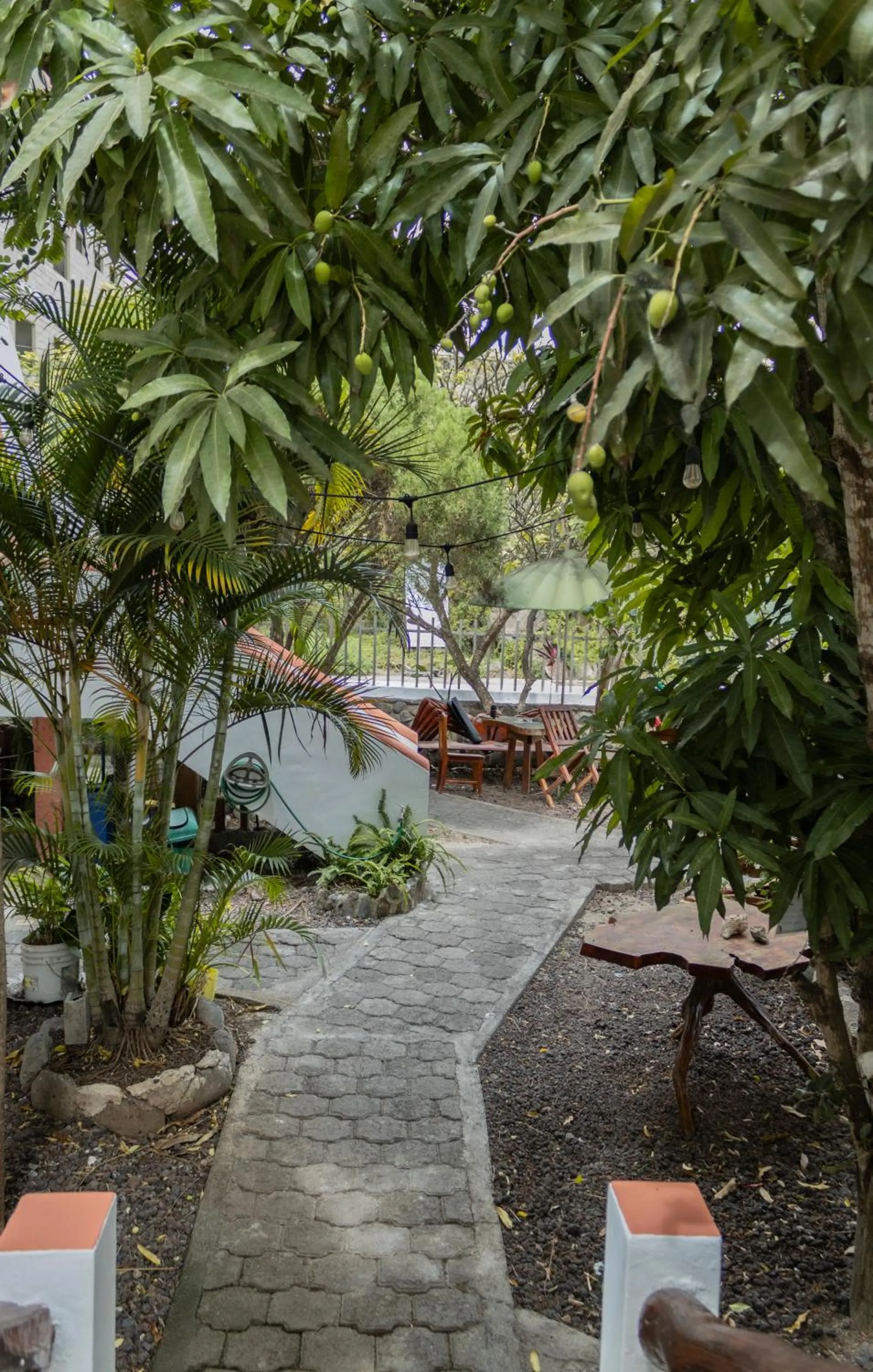 Day in Casa de Nelly