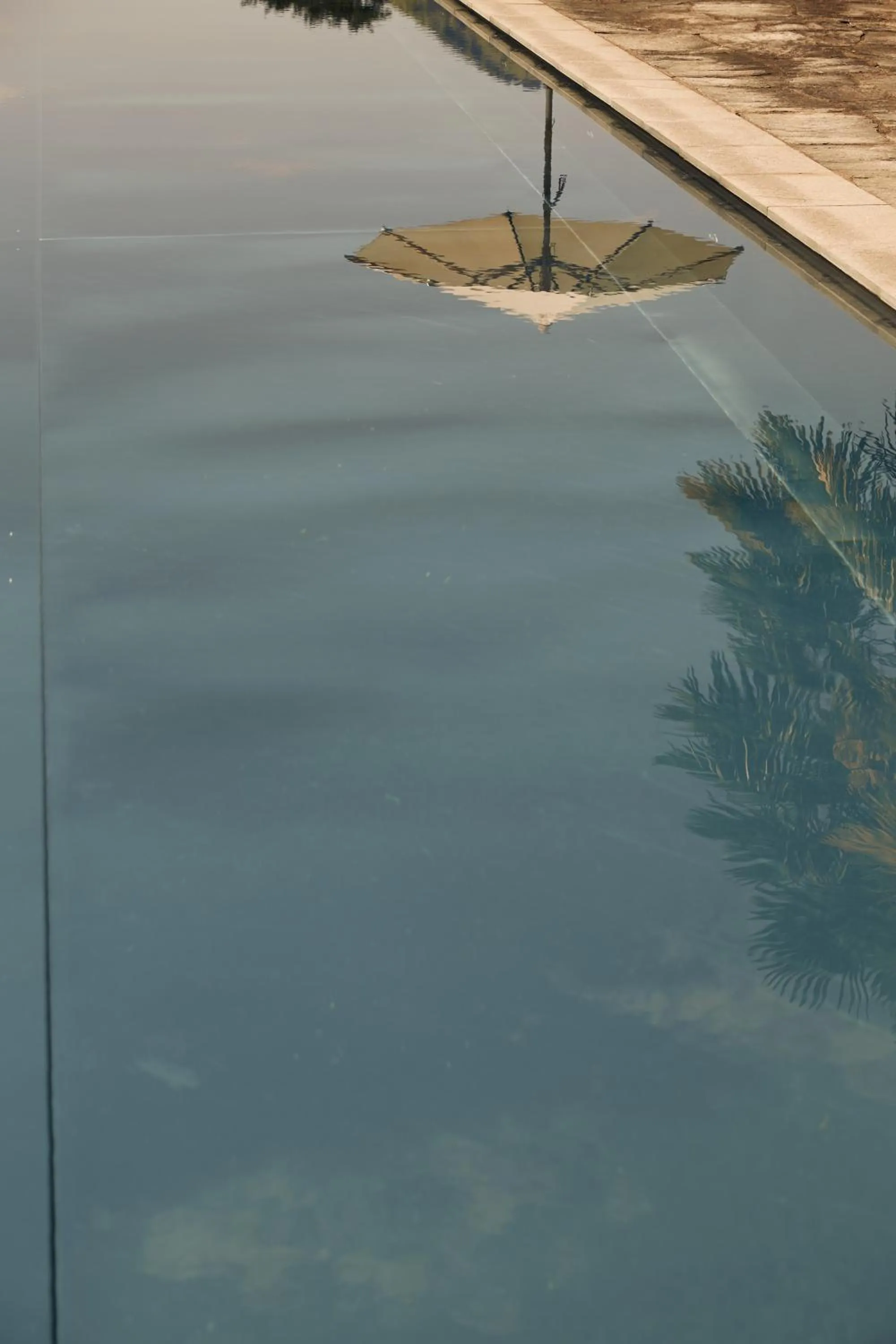 Pool view in See- und Seminarhotel FloraAlpina Vitznau