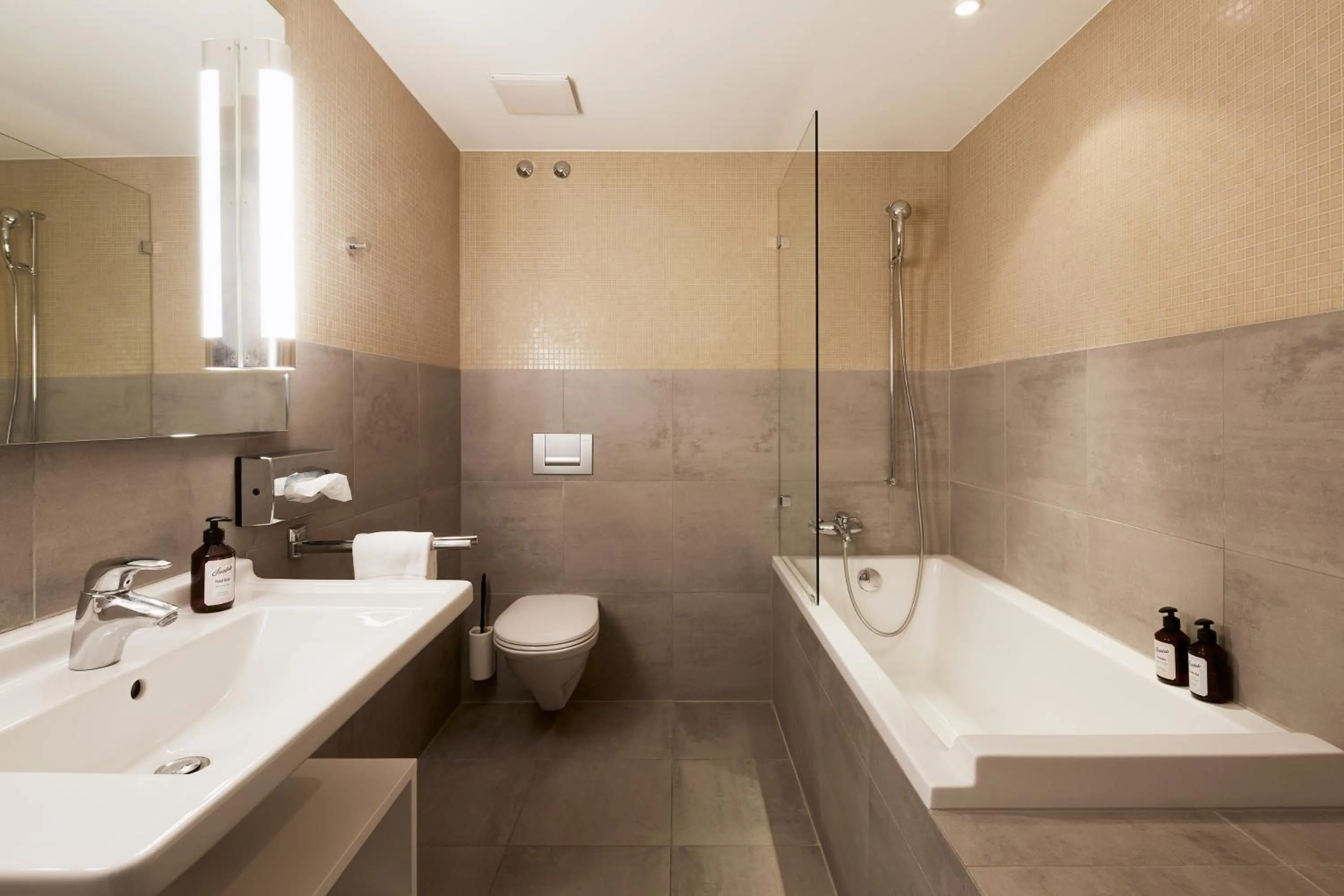 Toilet in See- und Seminarhotel FloraAlpina Vitznau