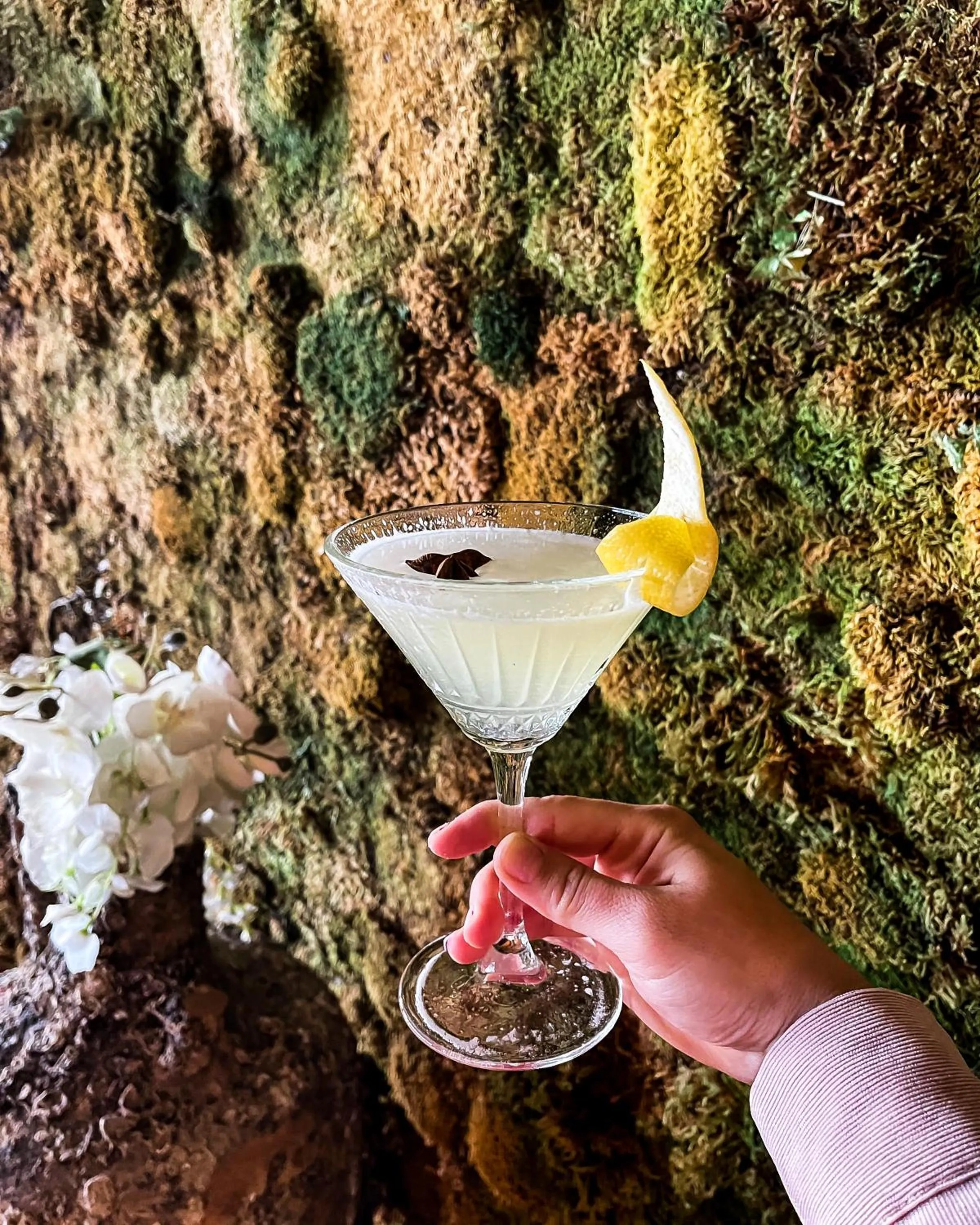 Restaurant/places to eat in Hotel Brooklyn Vlore