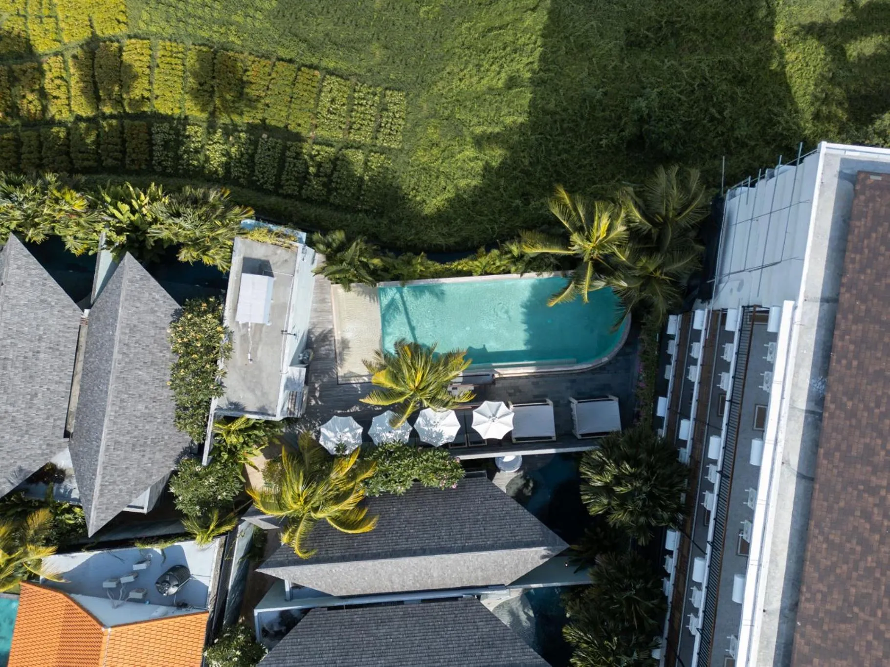 Bird's eye view in Astera Resort & Spa Canggu by Ini Vie Hospitality