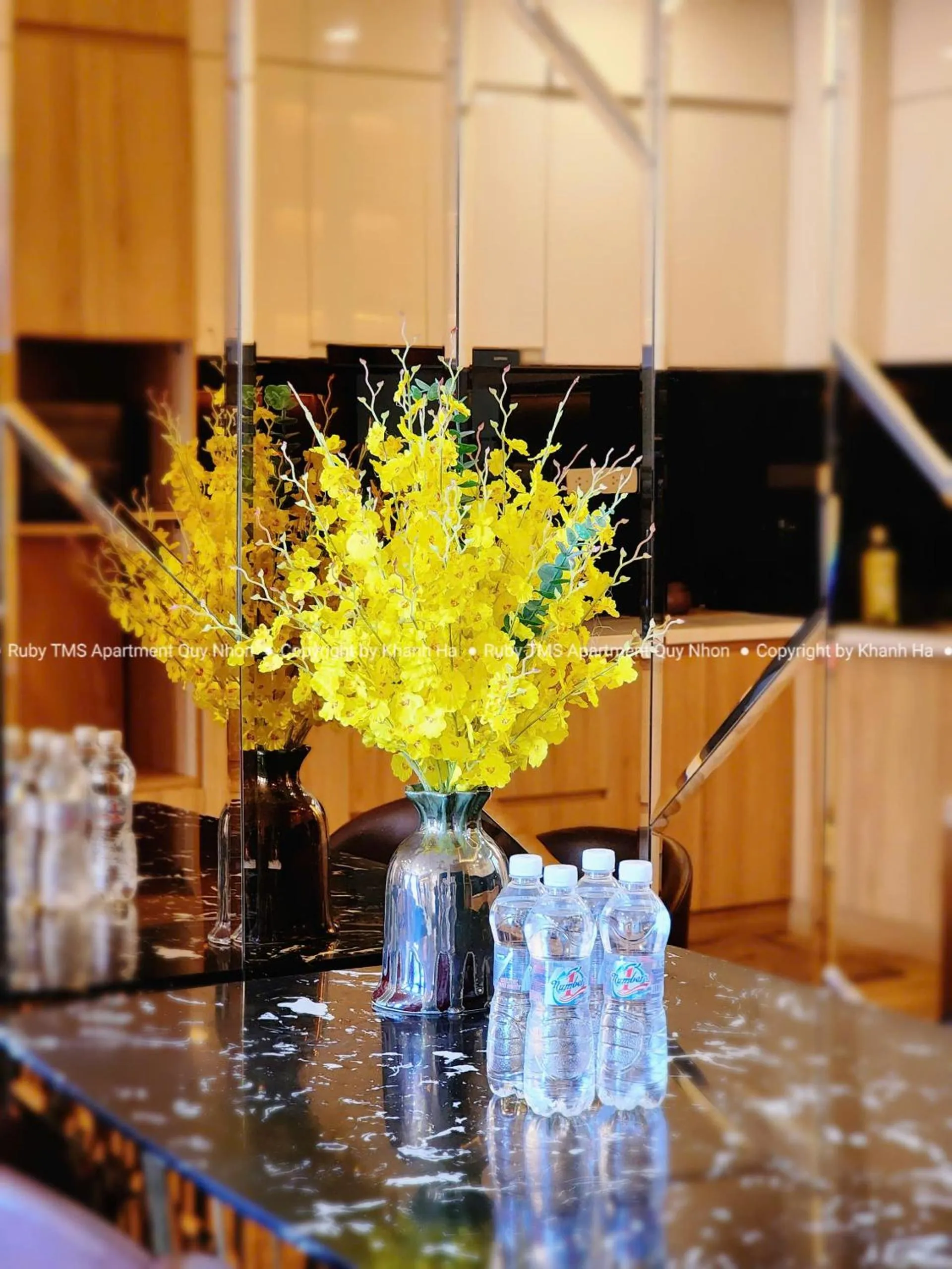 TMS Apartments Quy Nhơn