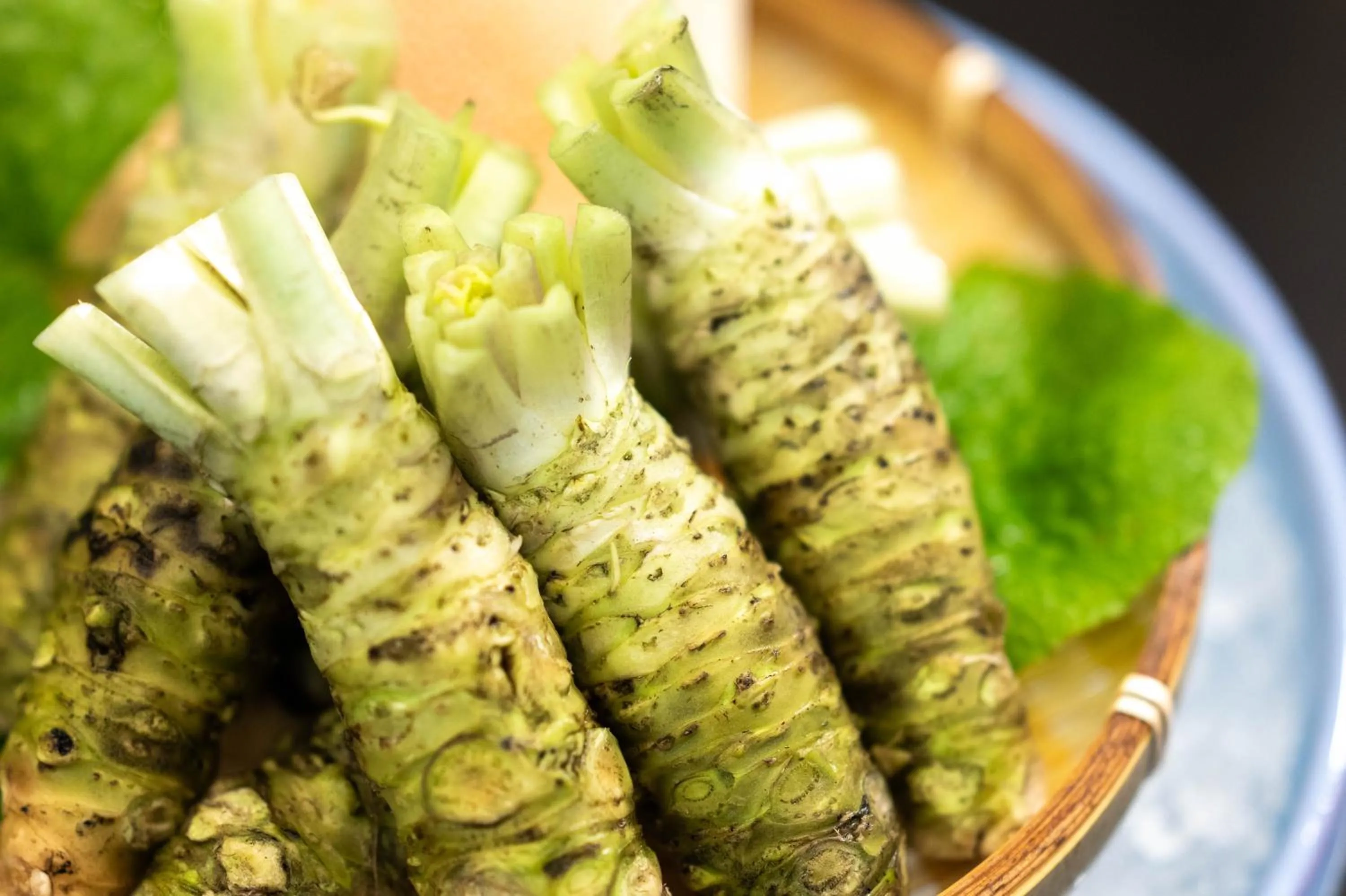 Dinner in 伊豆高原温泉ホテル 森の泉